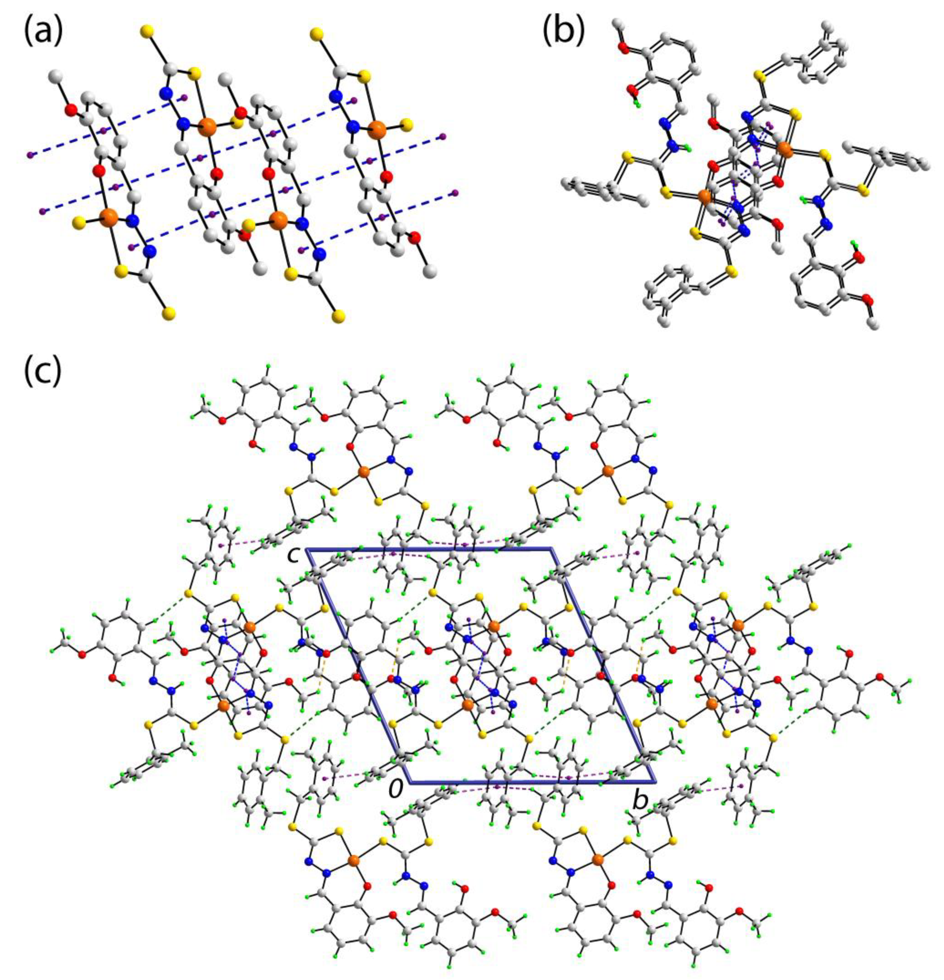 Molbank 2019 m1057 g002