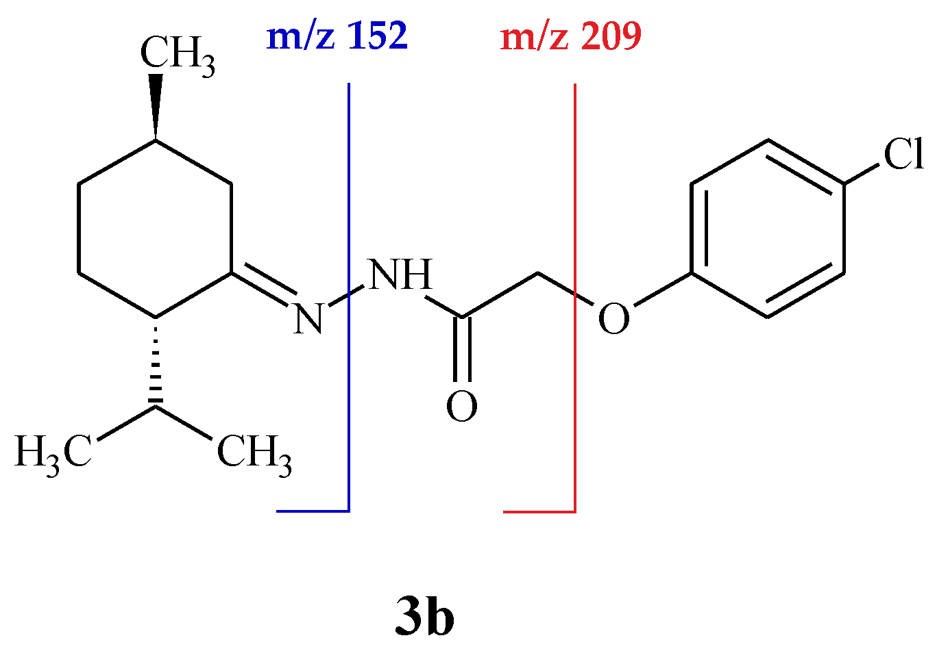 Molbank 2019 m1062 g001