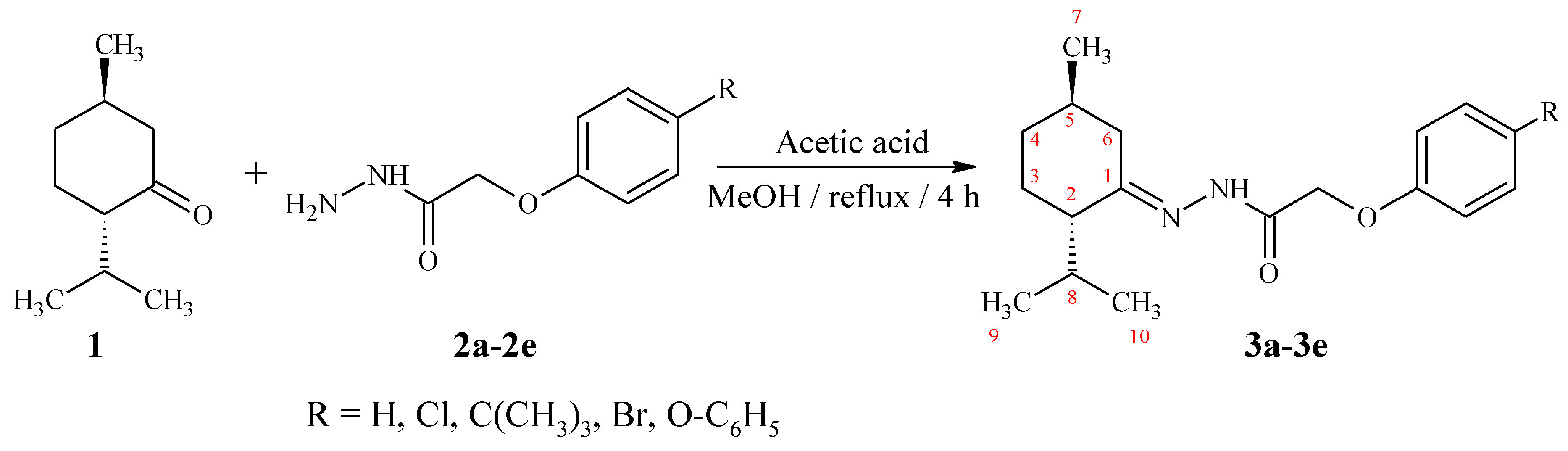Molbank 2019 m1062 sch001