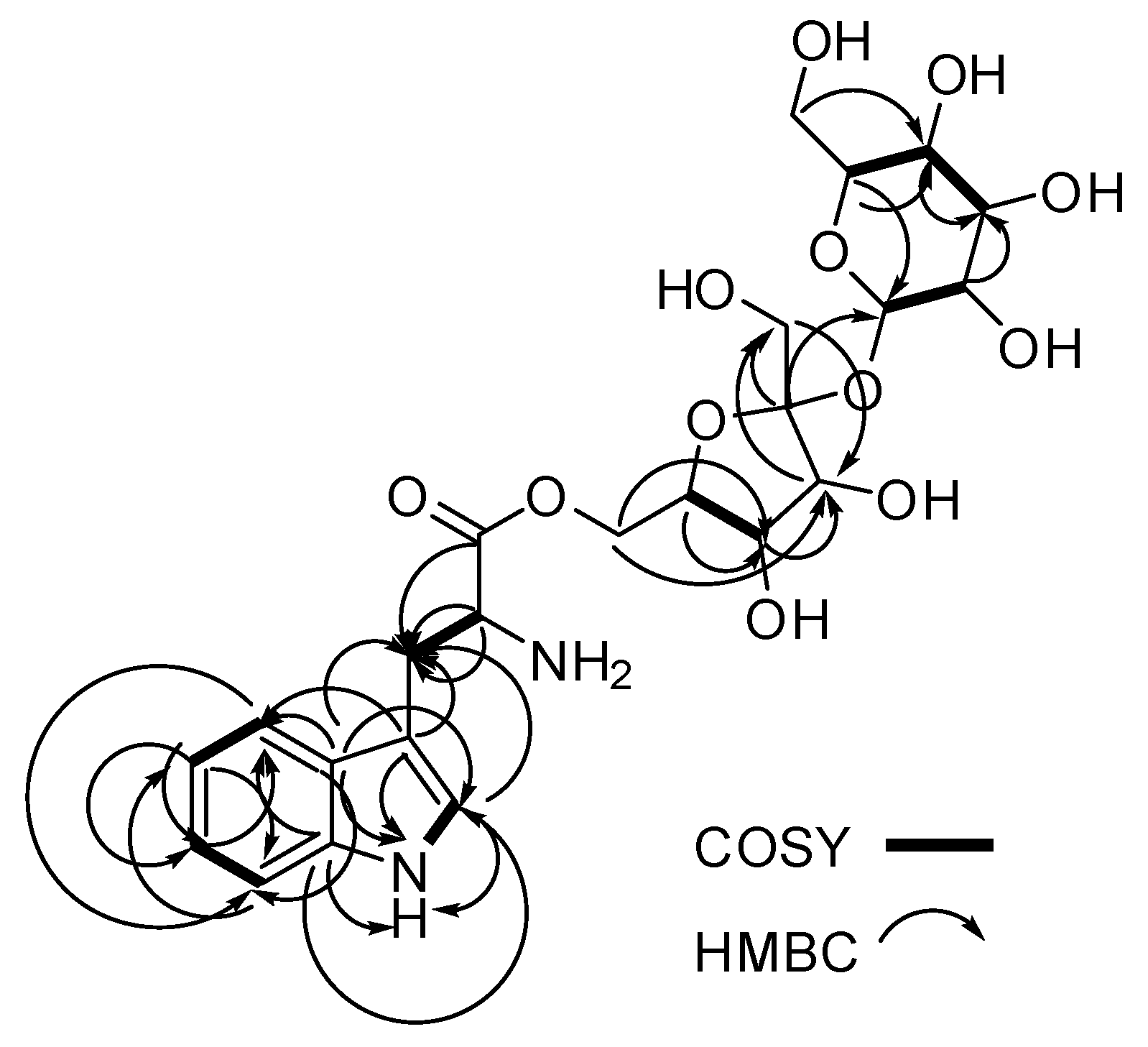 Molbank 2019 m1066 g002