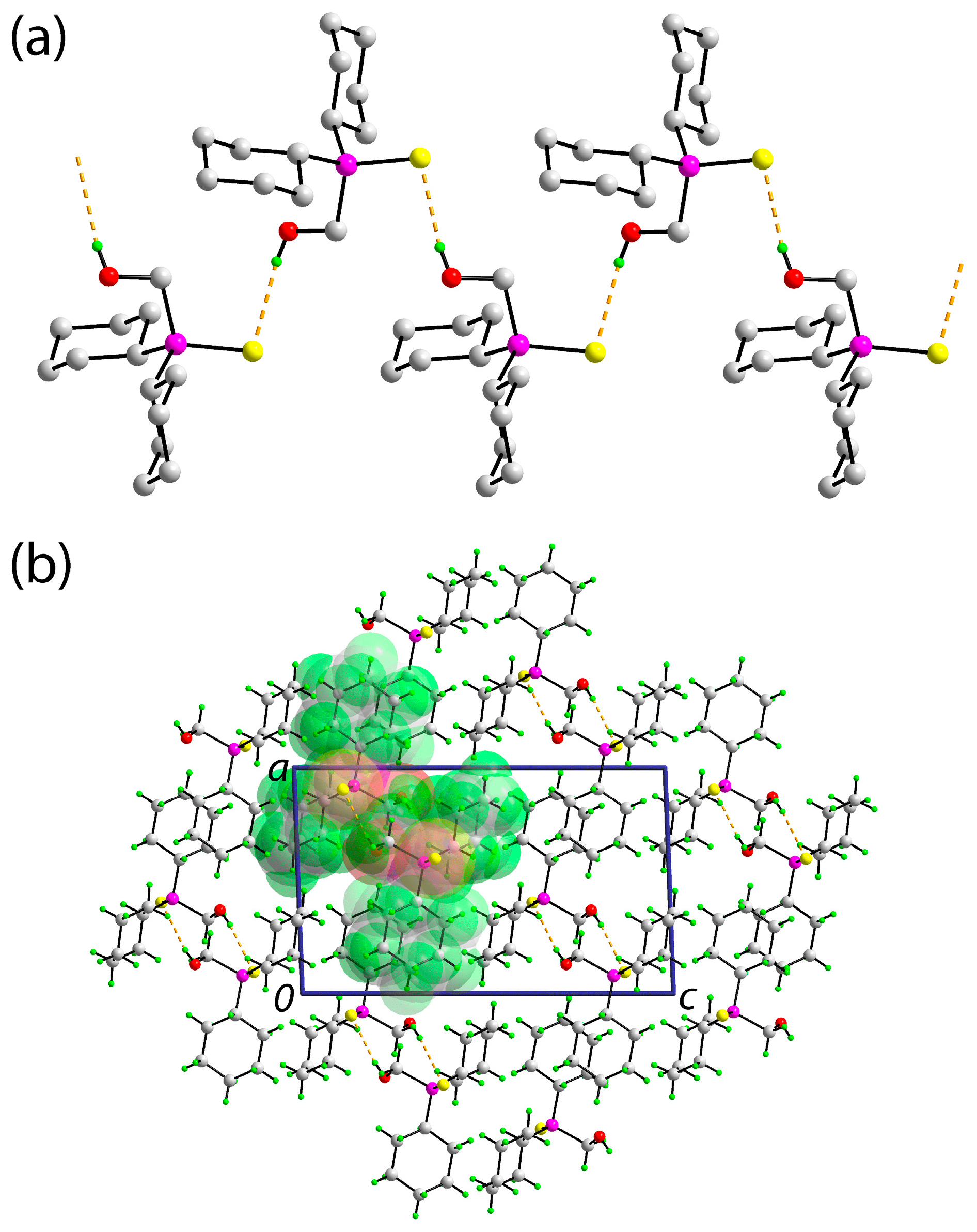 Molbank 2019 m1069 g003