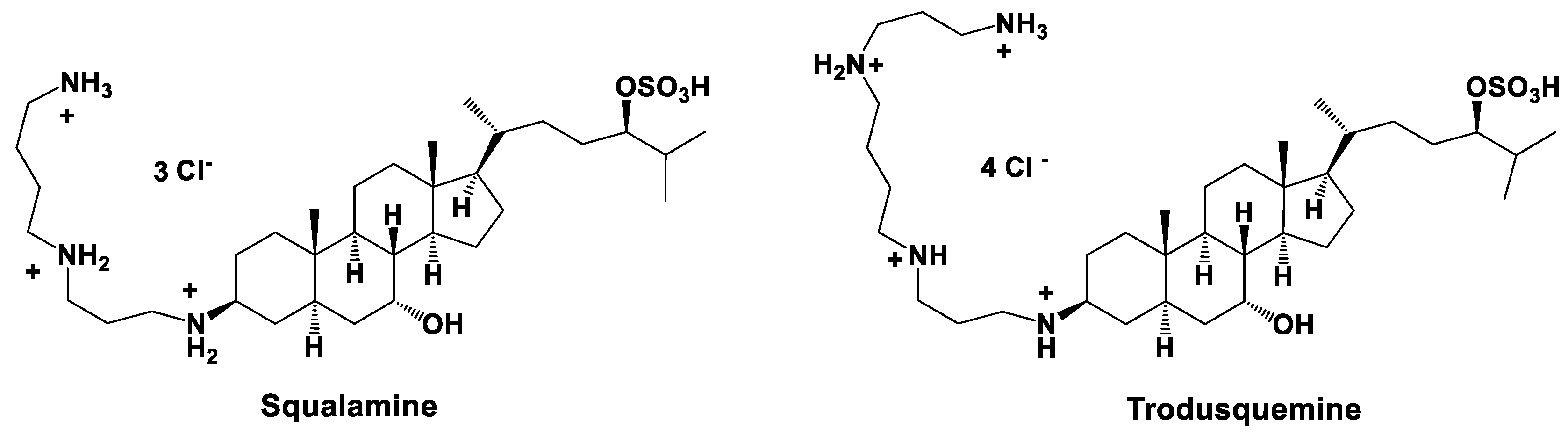 Molbank 2019 m1078 g001
