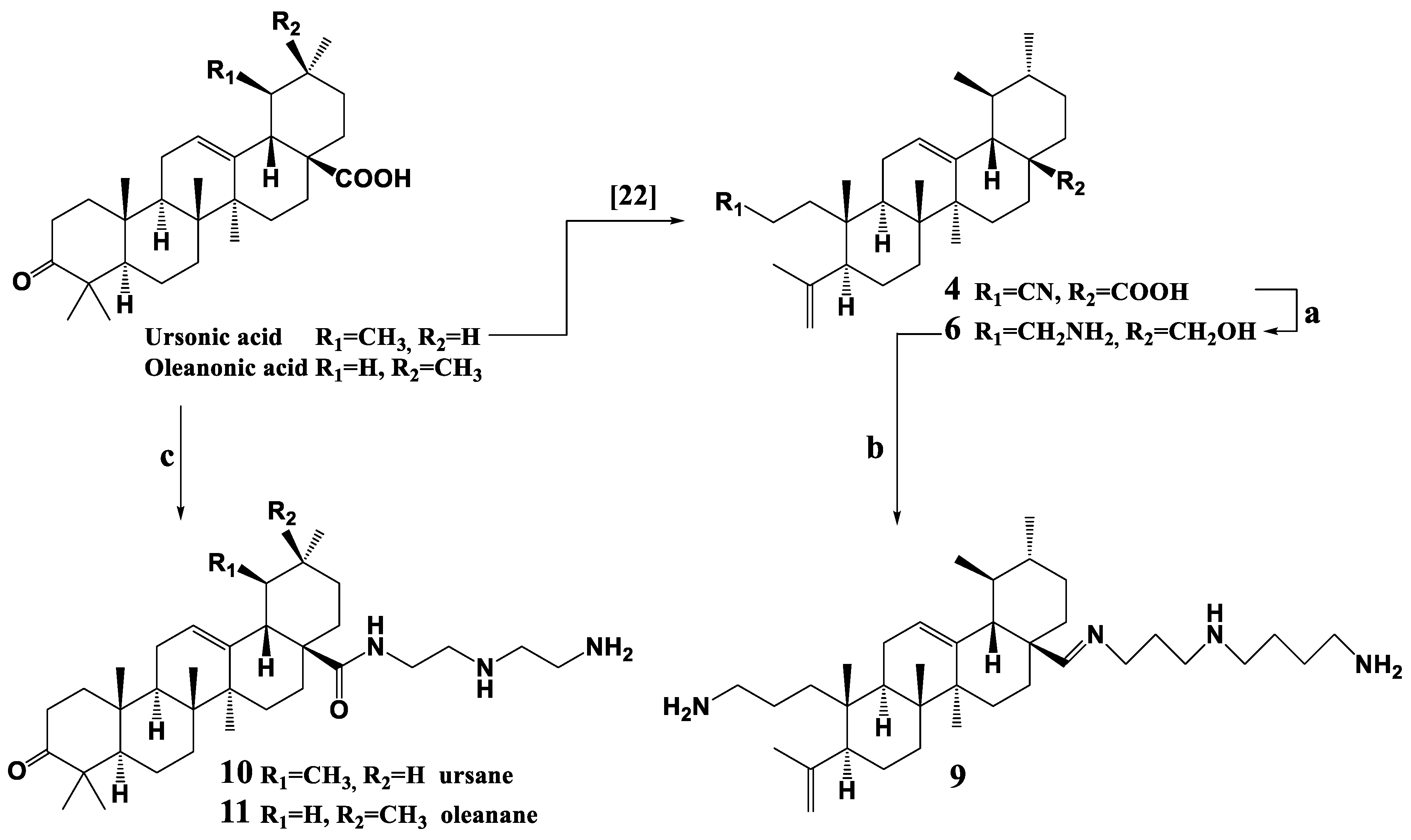 Molbank 2019 m1078 sch002