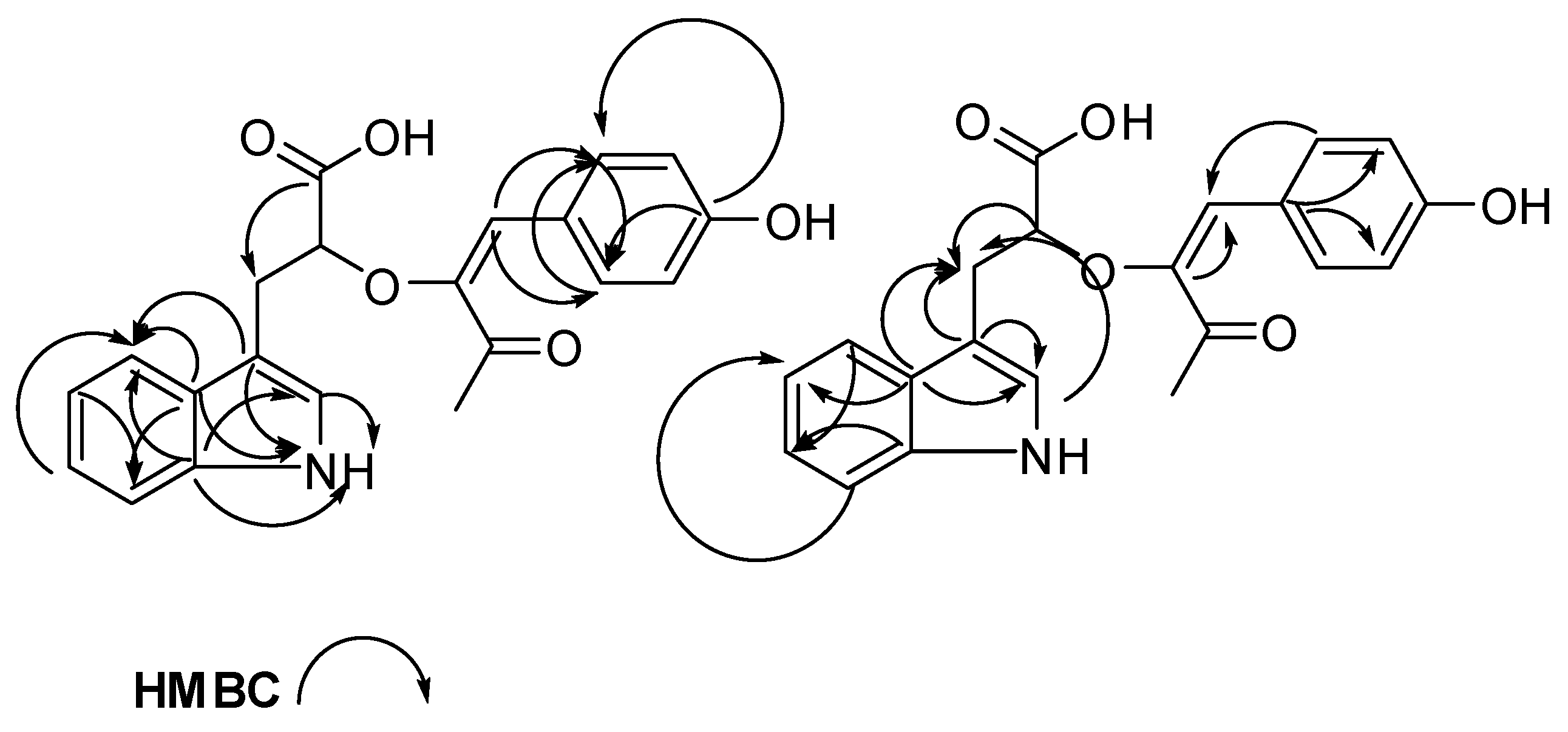 Molbank 2019 m1080 g003
