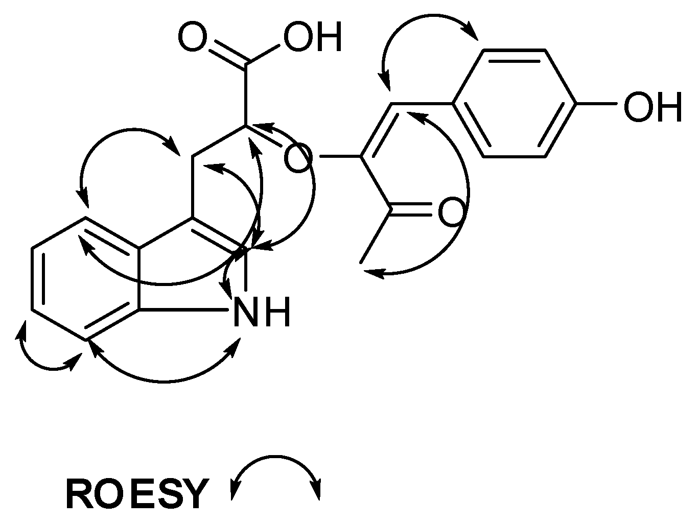 Molbank 2019 m1080 g004