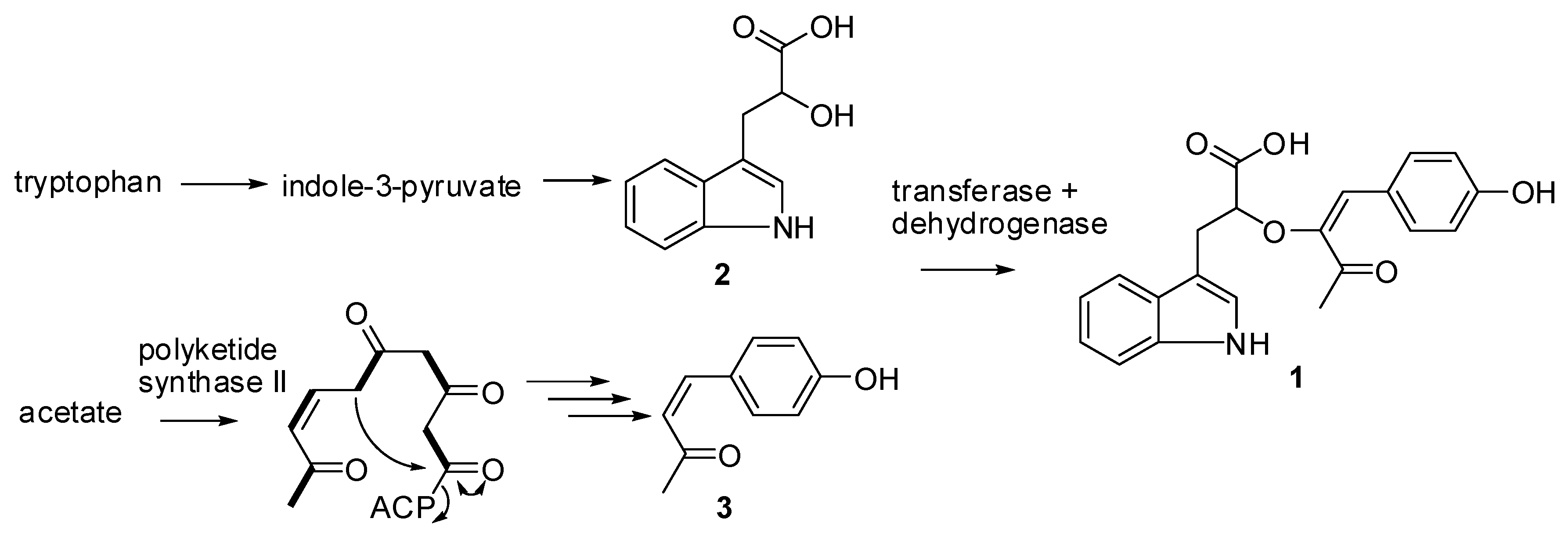 Molbank 2019 m1080 g006