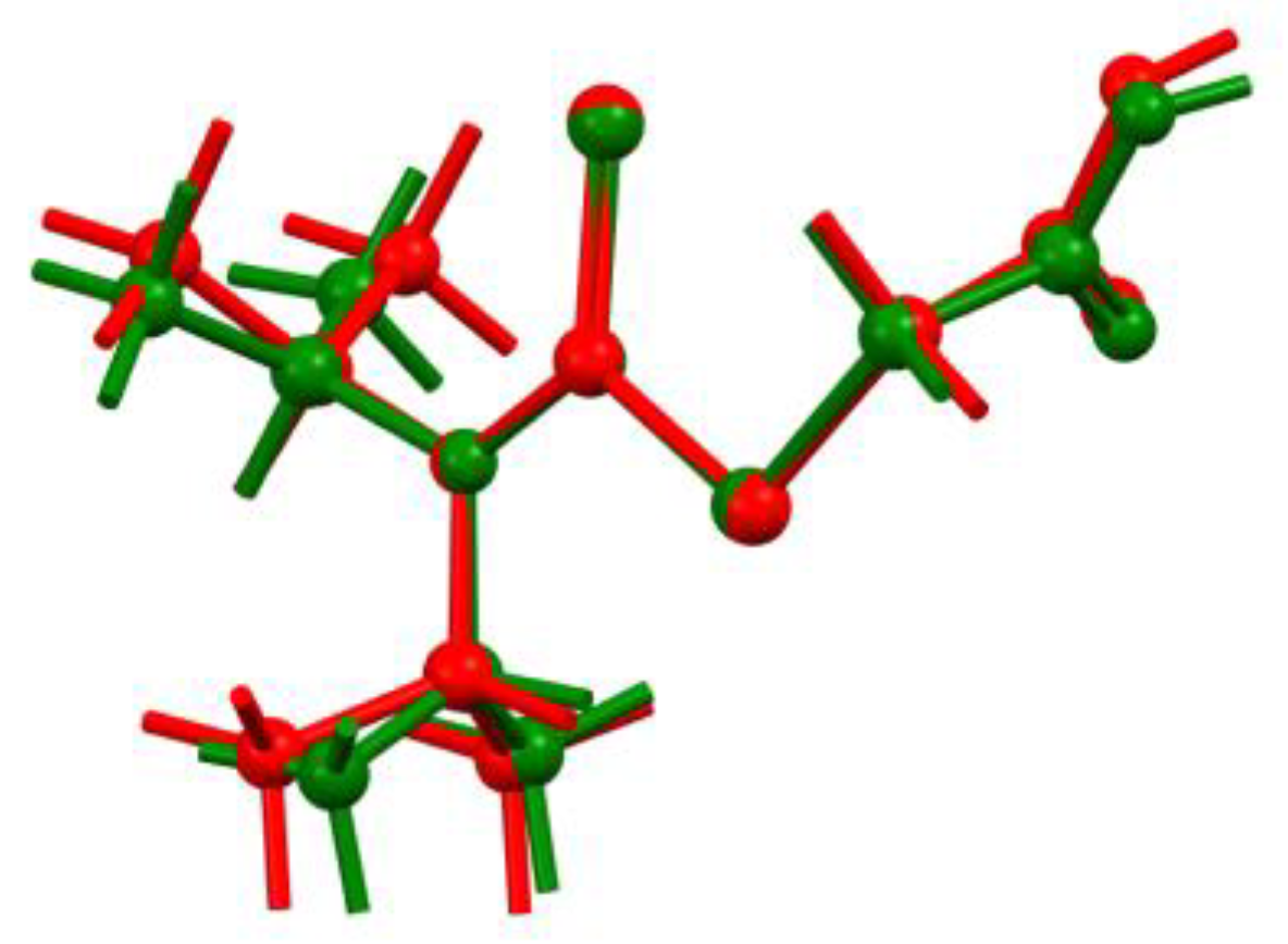 Molbank 2019 m1082 g005