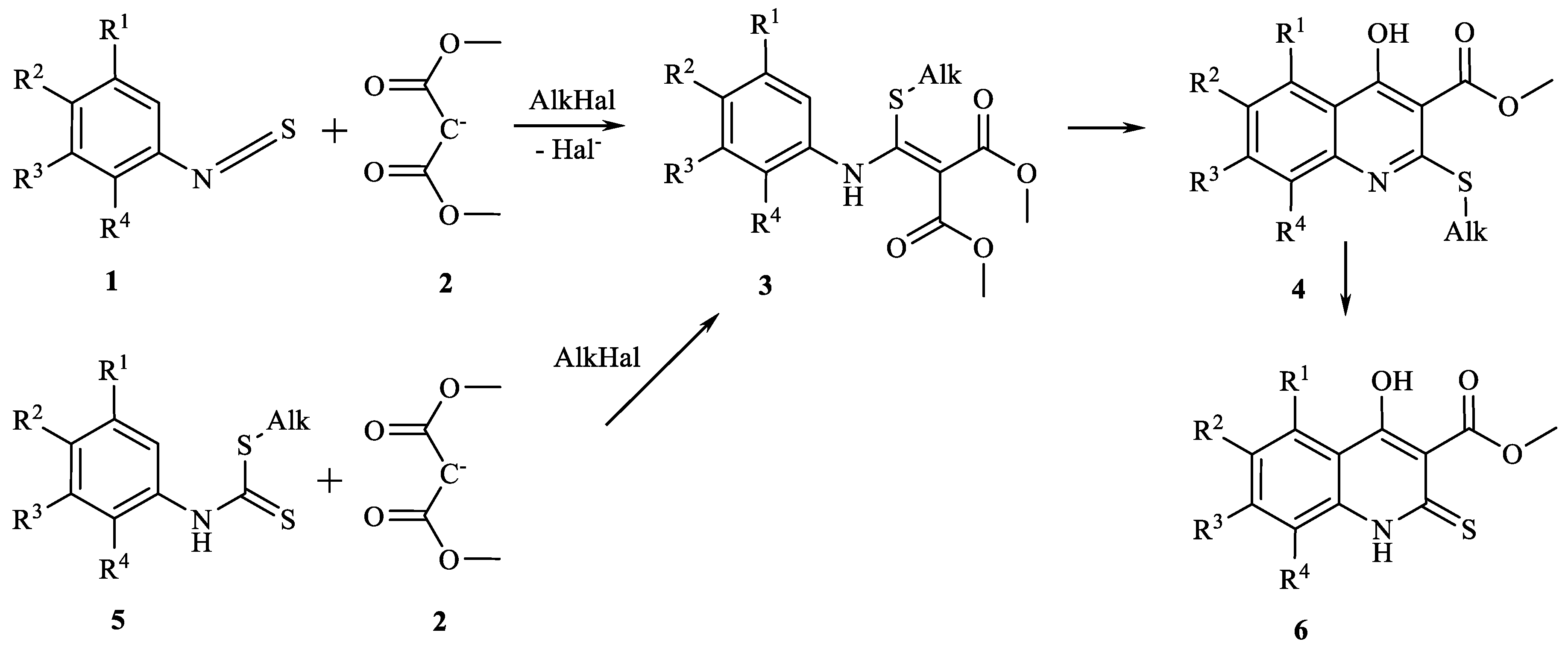 Molbank 2019 m1085 sch001