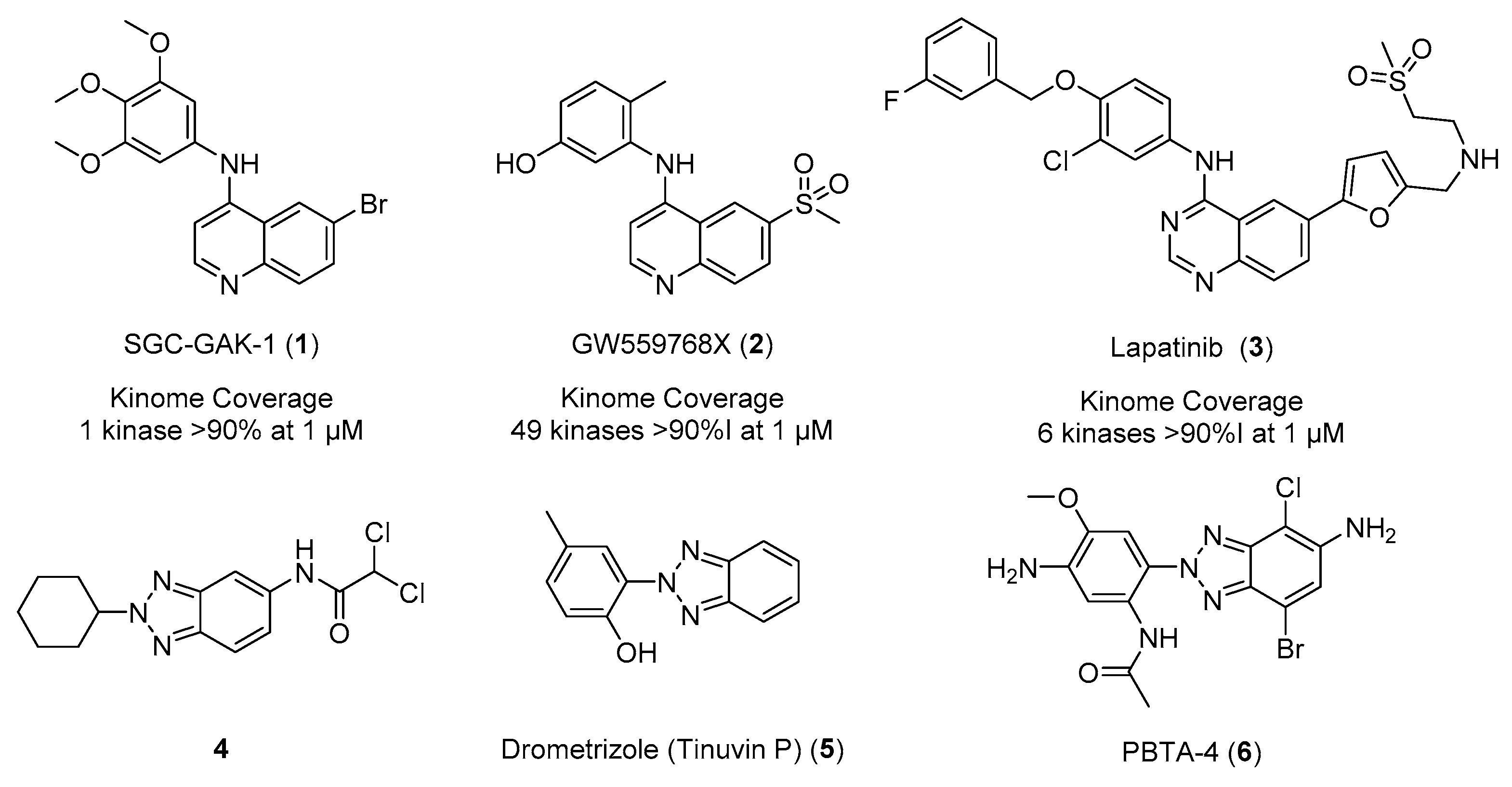 Molbank 2019 m1087 g001