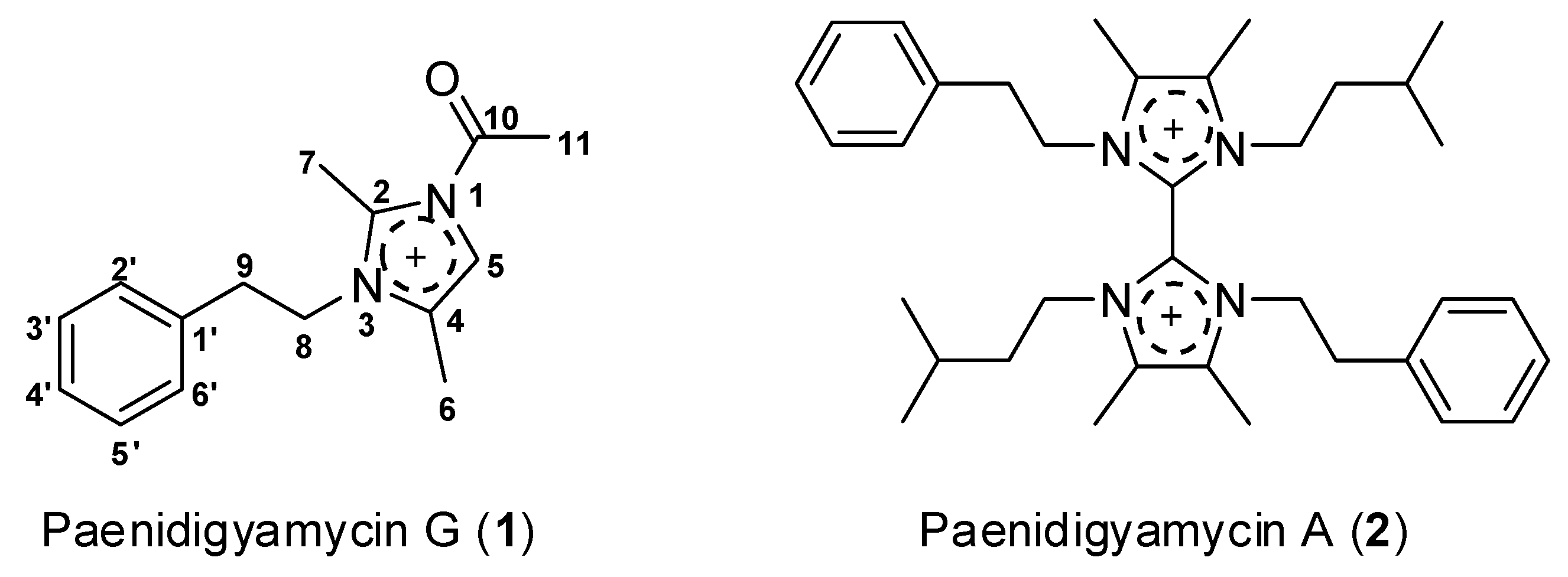 Molbank 2019 m1094 g001