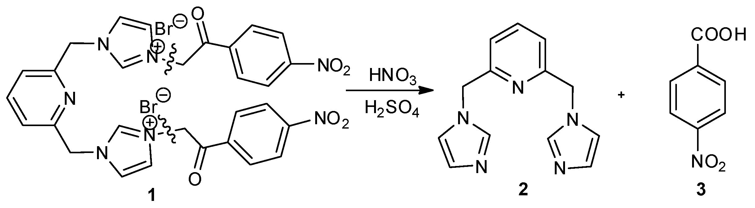 Molbank 2019 m1095 g001