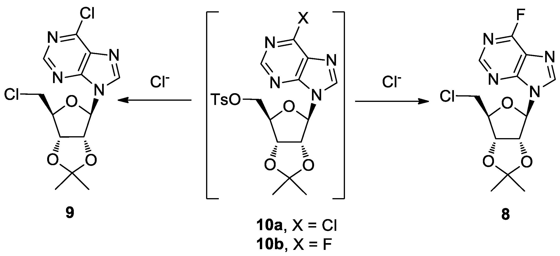 Molbank 2019 m1097 sch002