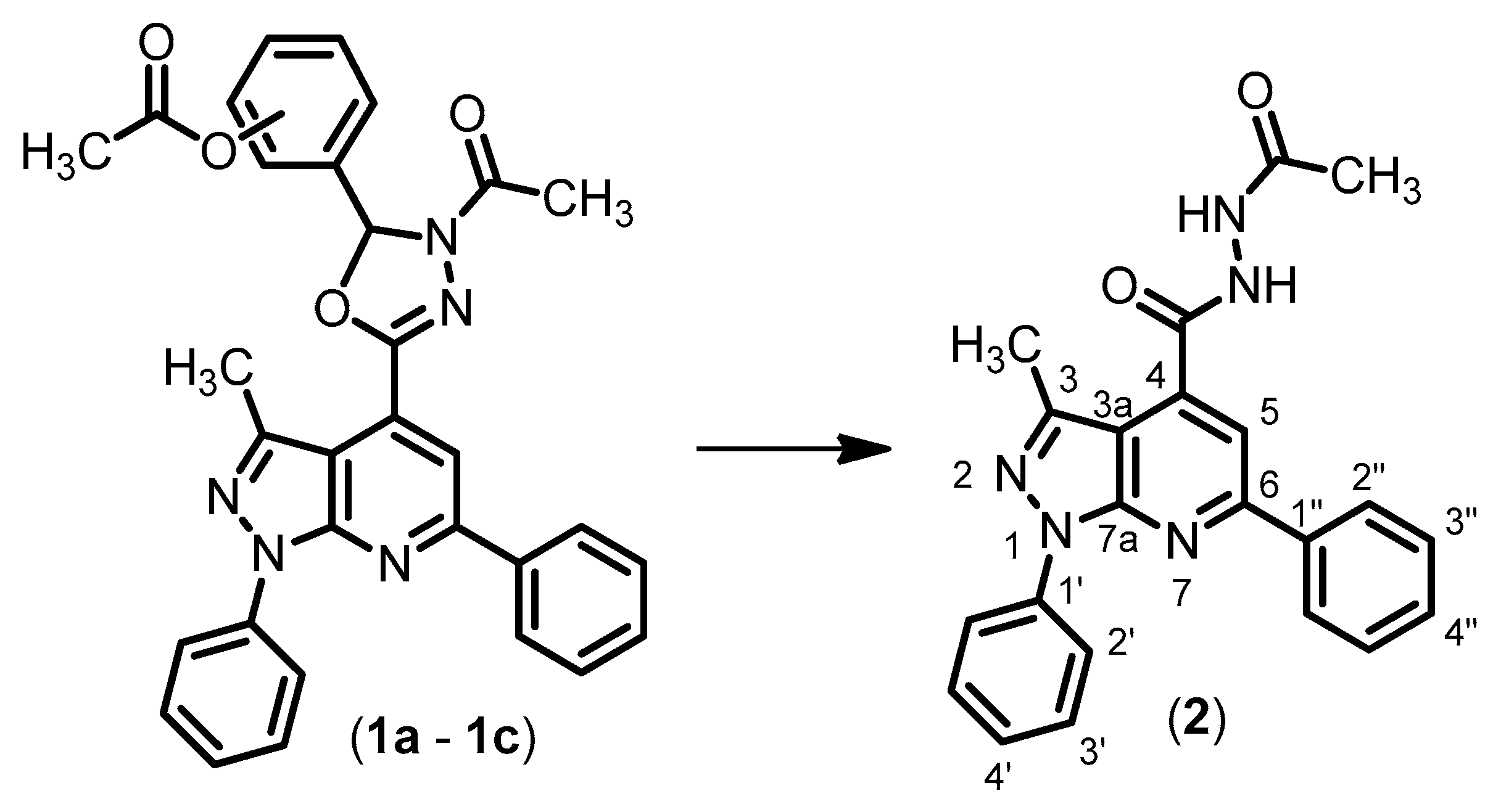 Molbank 2020 m1104 sch001