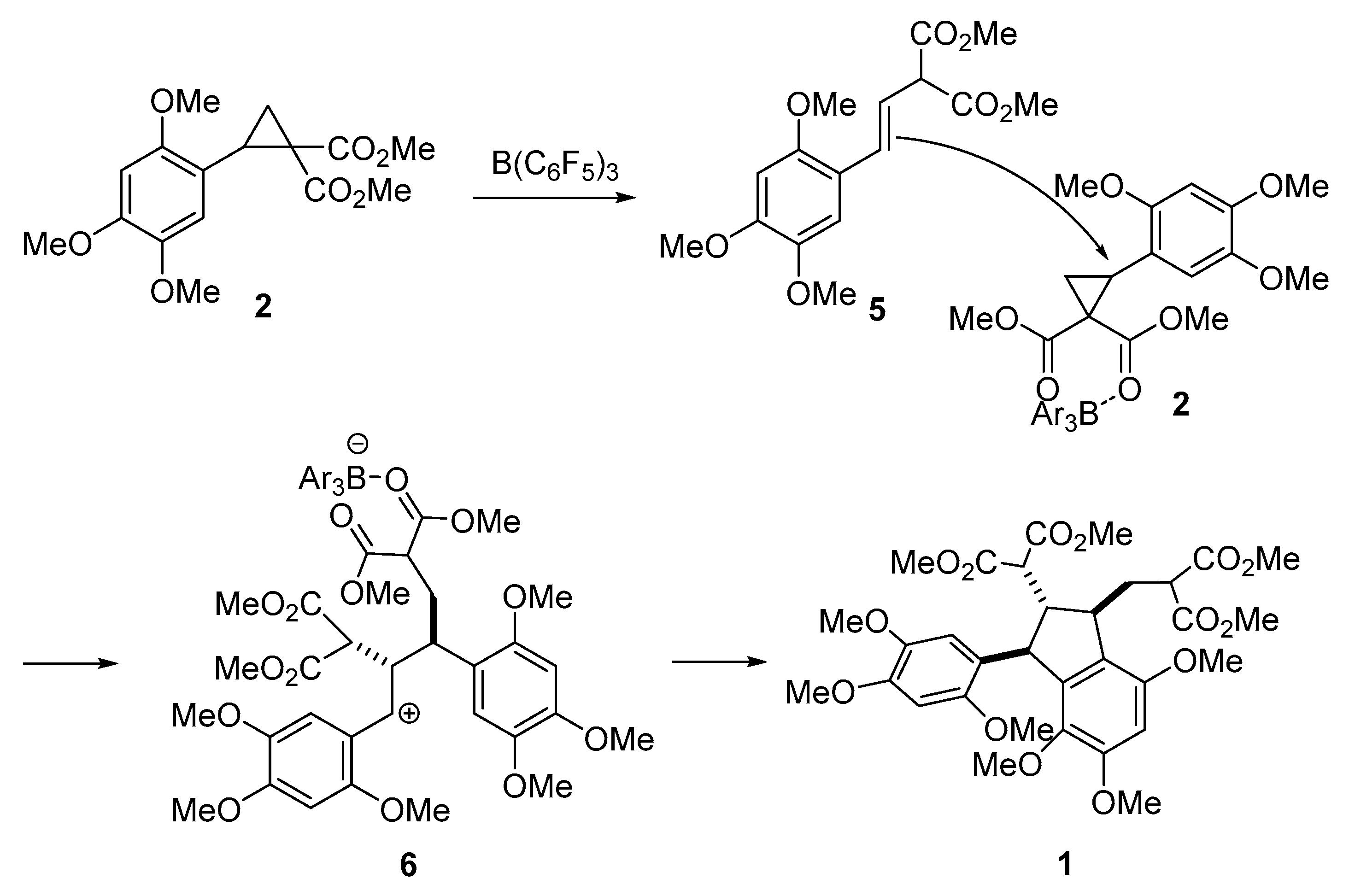 Molbank 2020 m1107 sch004