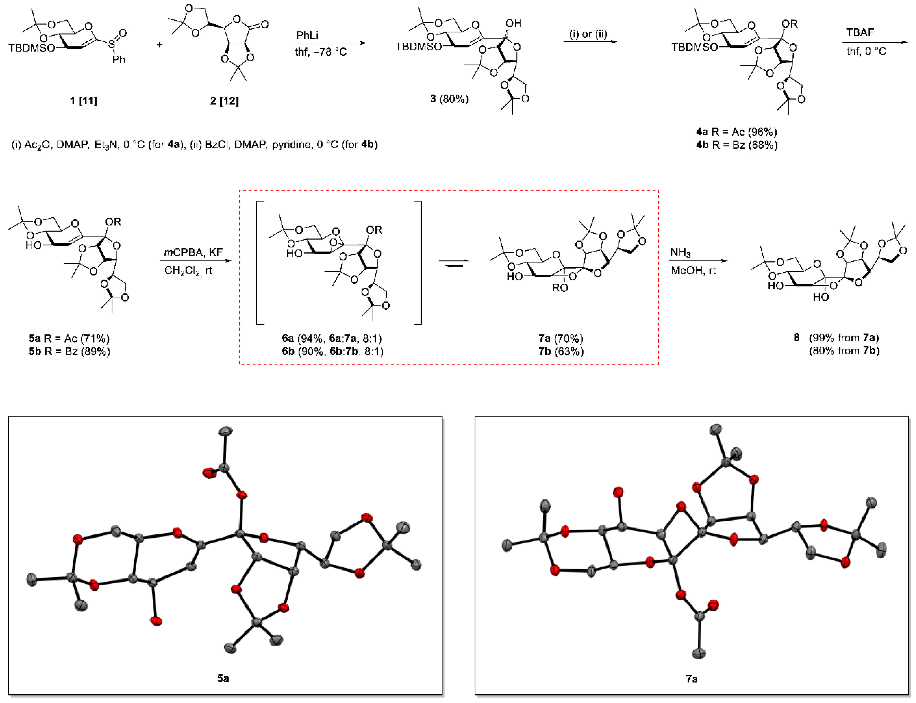 Molbank 2020 m1108 sch001