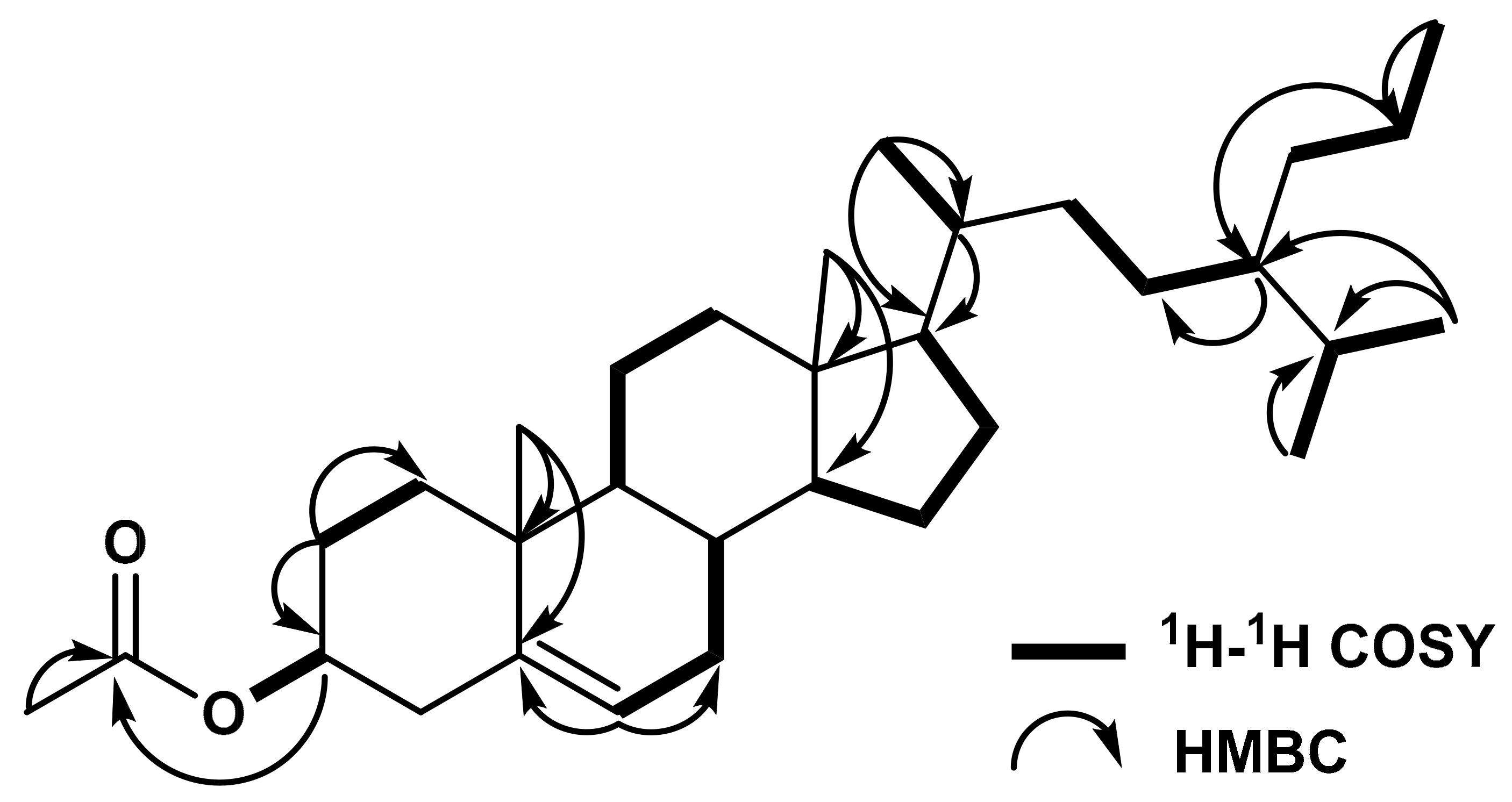 Molbank 2020 m1112 g002