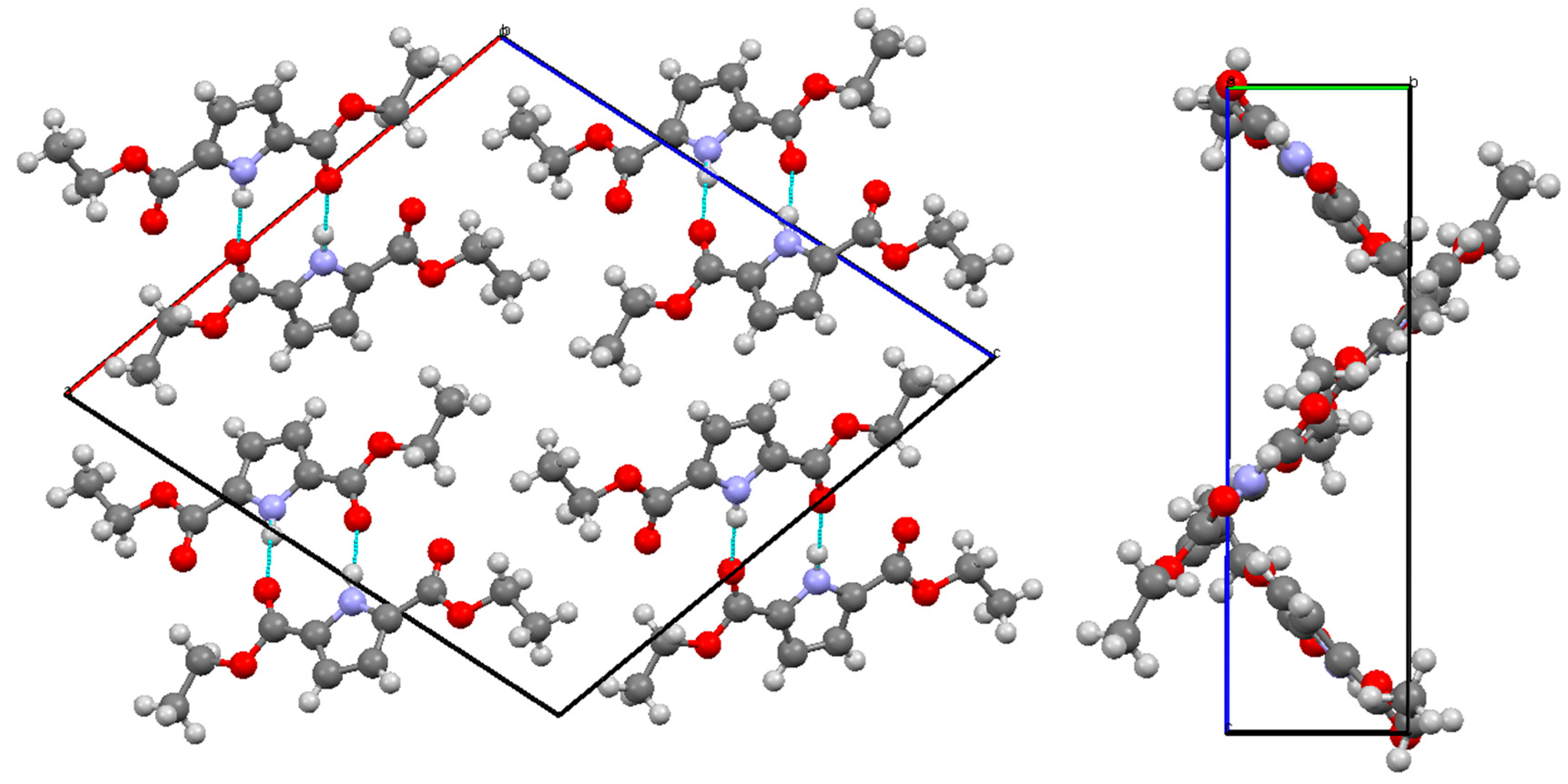 Molbank 2020 m1117 g002 Molbank 2020 m1117 g002