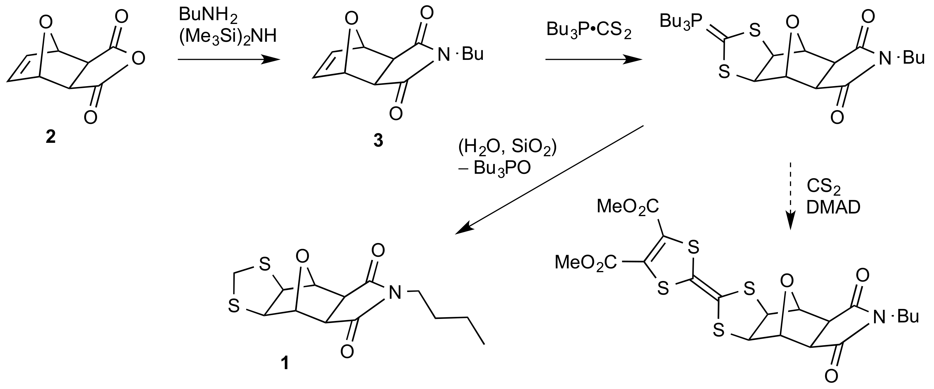 Molbank 2020 m1123 sch002