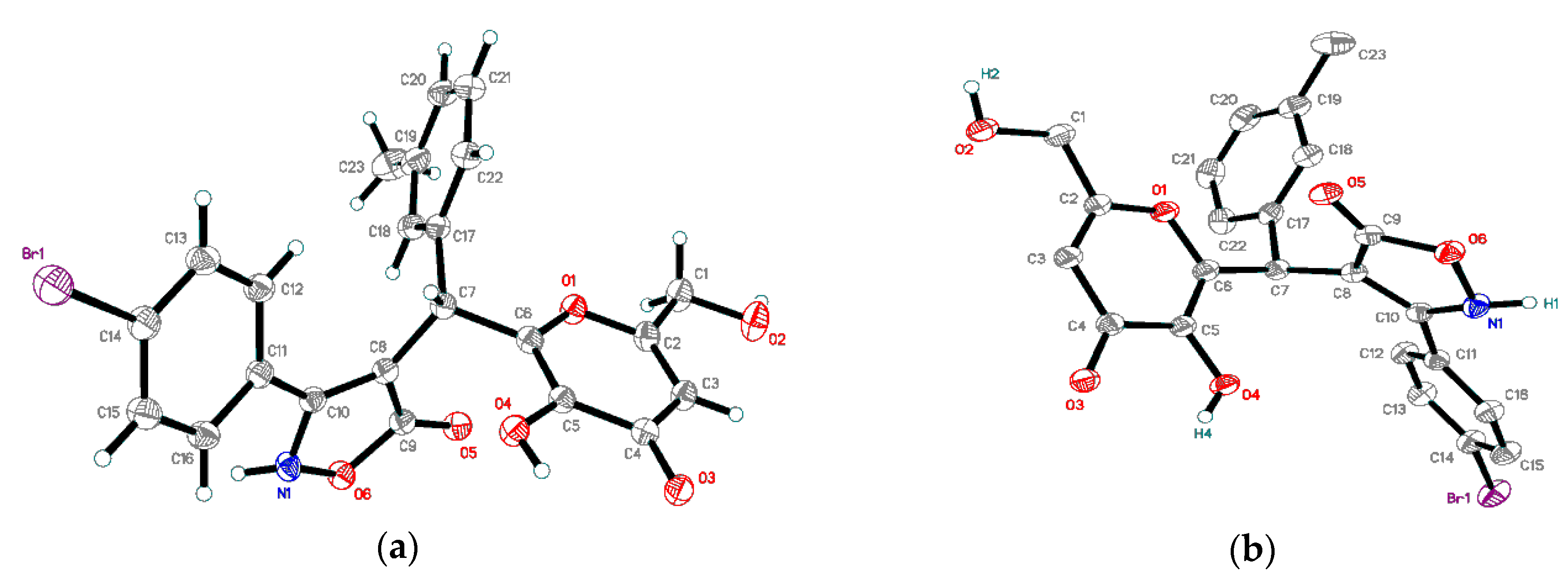 Molbank 2020 m1135 g001