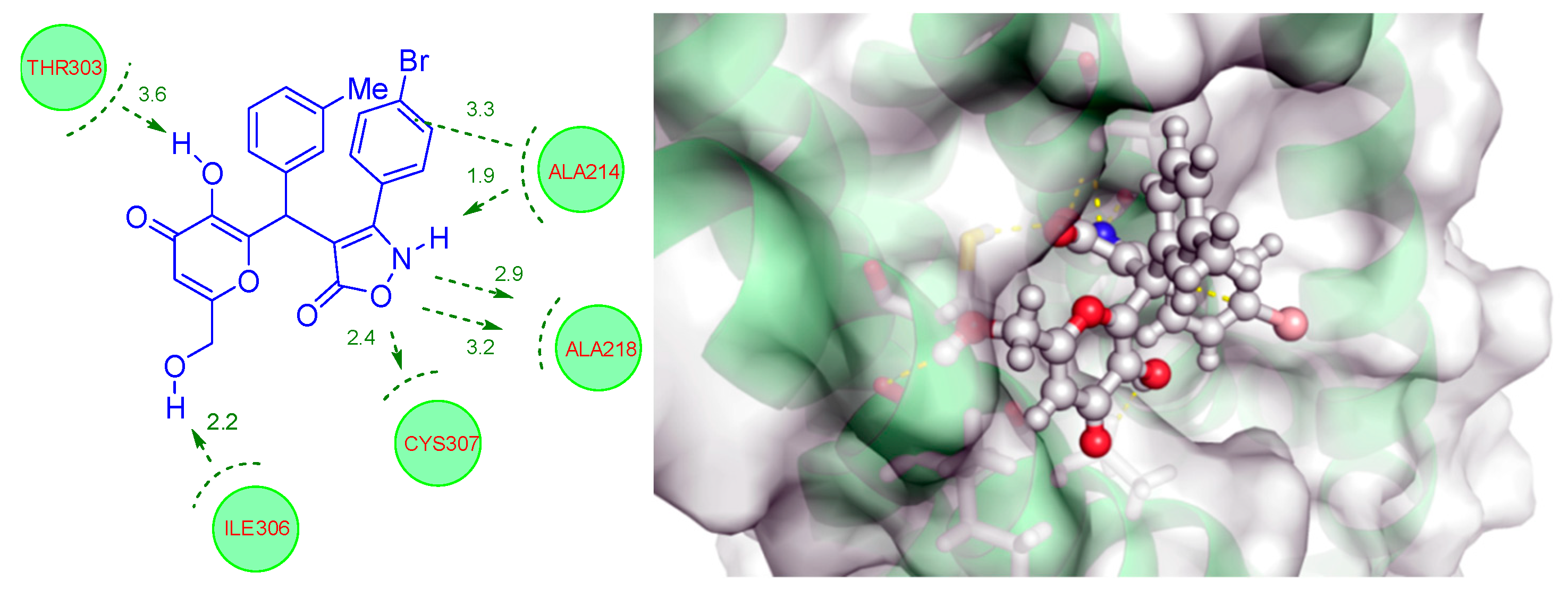 Molbank 2020 m1135 g002