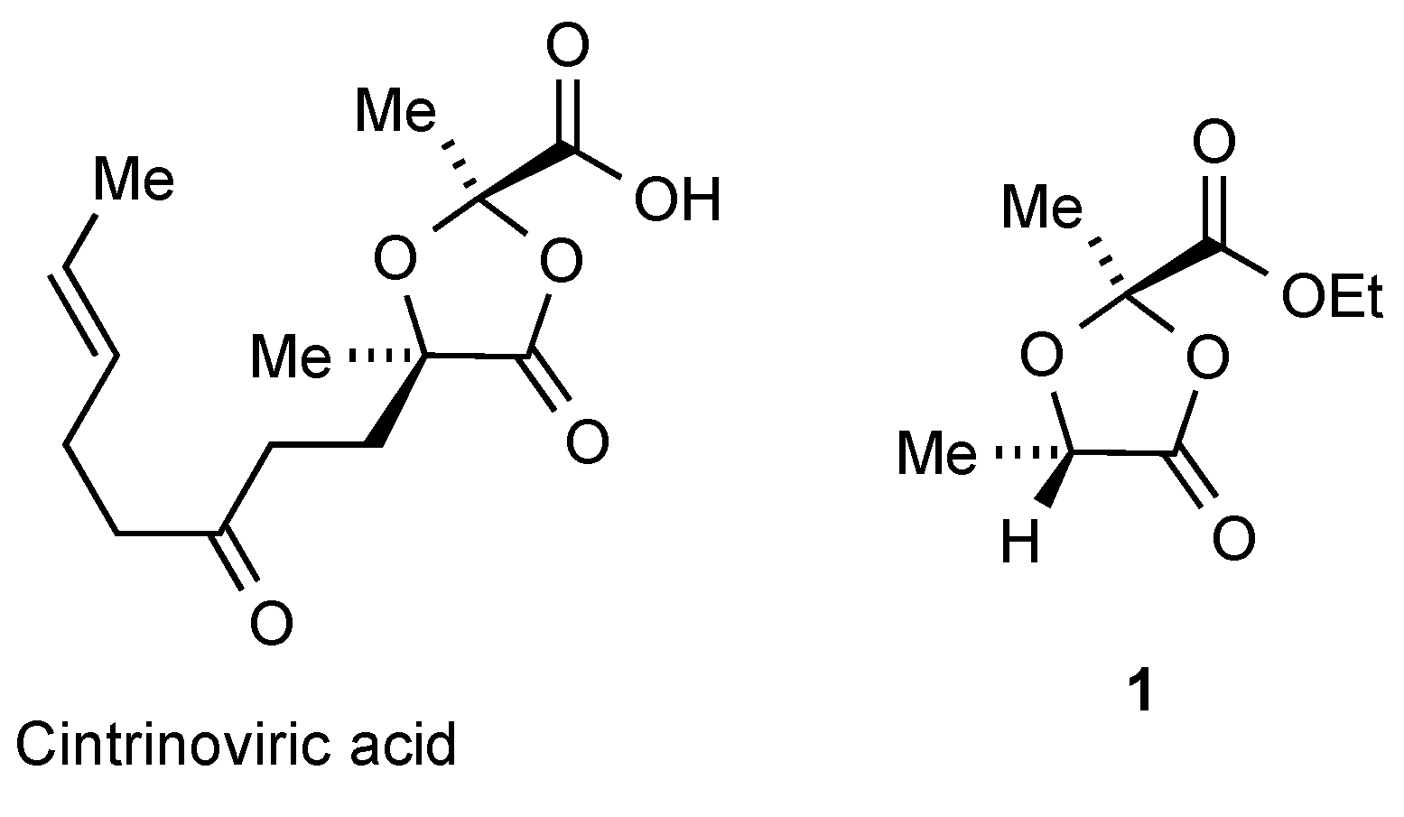 Molbank 2021 m1178 g001