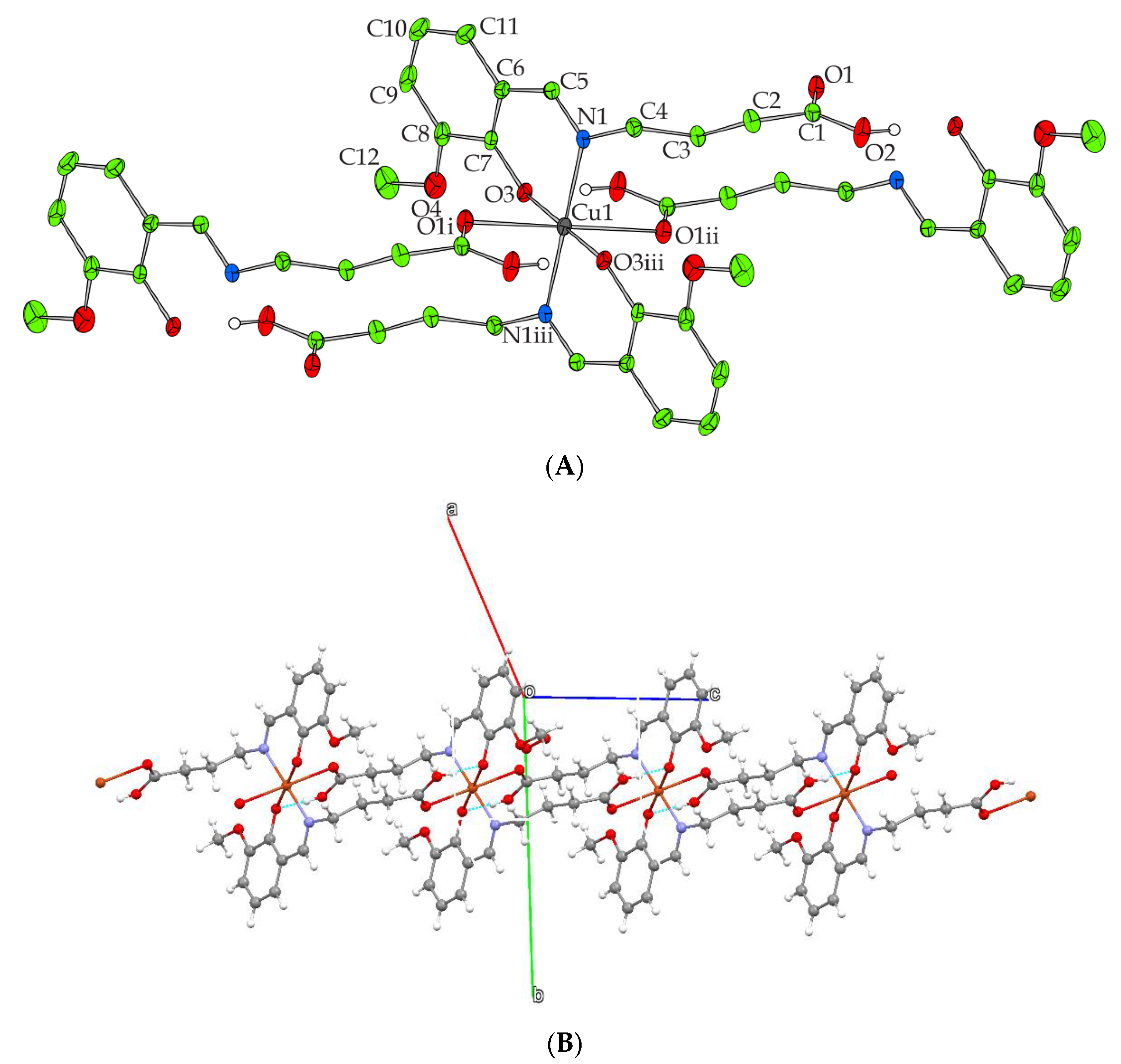 Molbank 2021 m1179 g001
