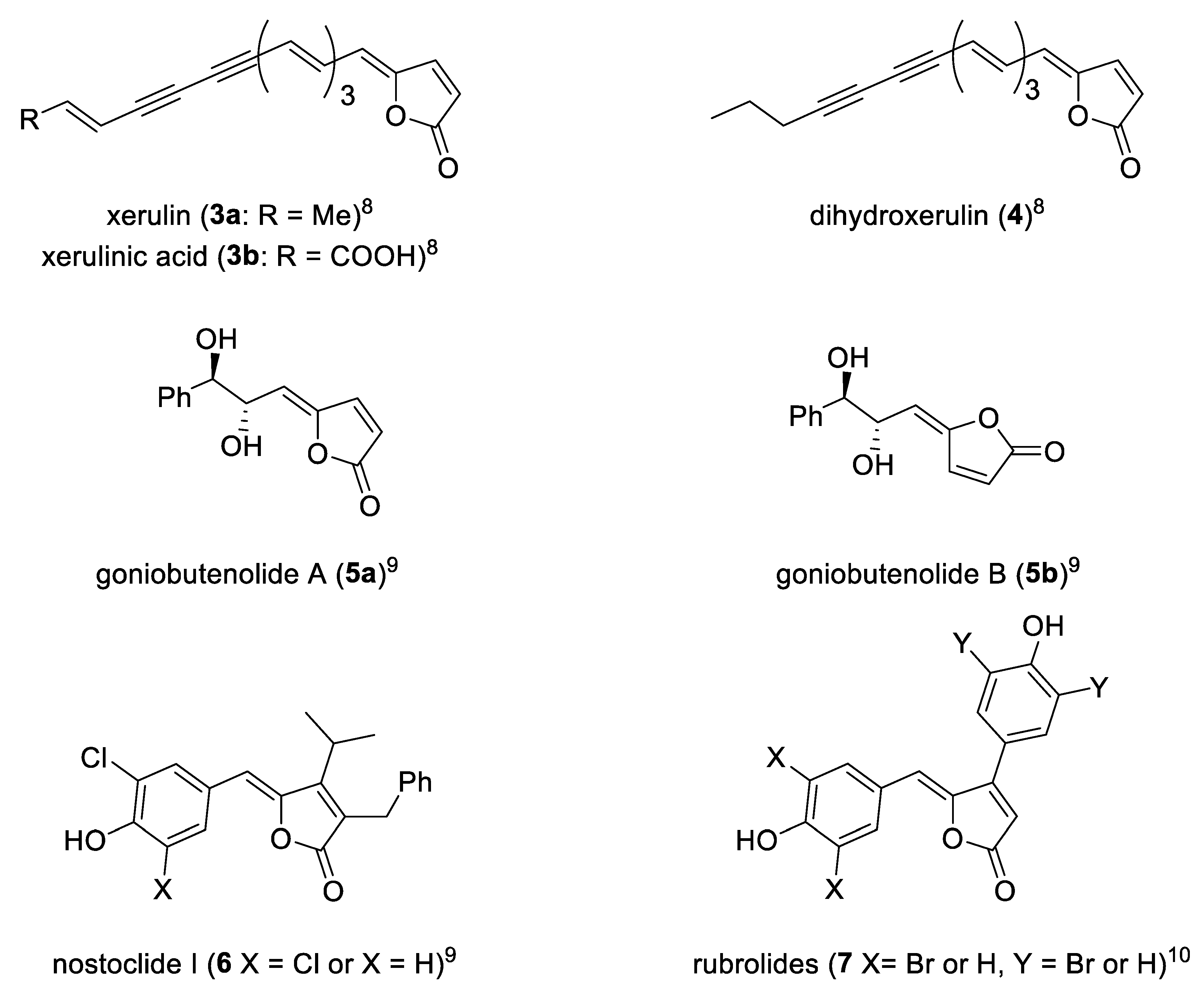 Molbank 2021 m1193 g002