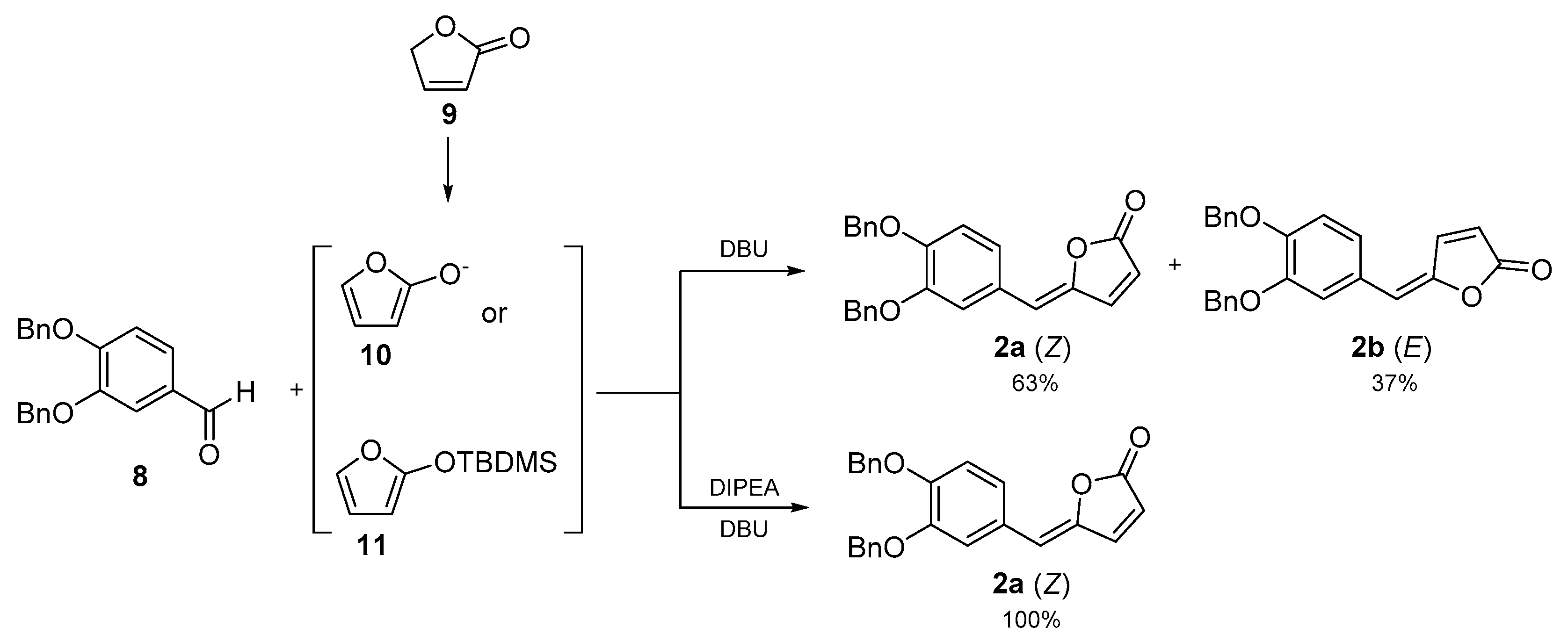 Molbank 2021 m1193 sch001