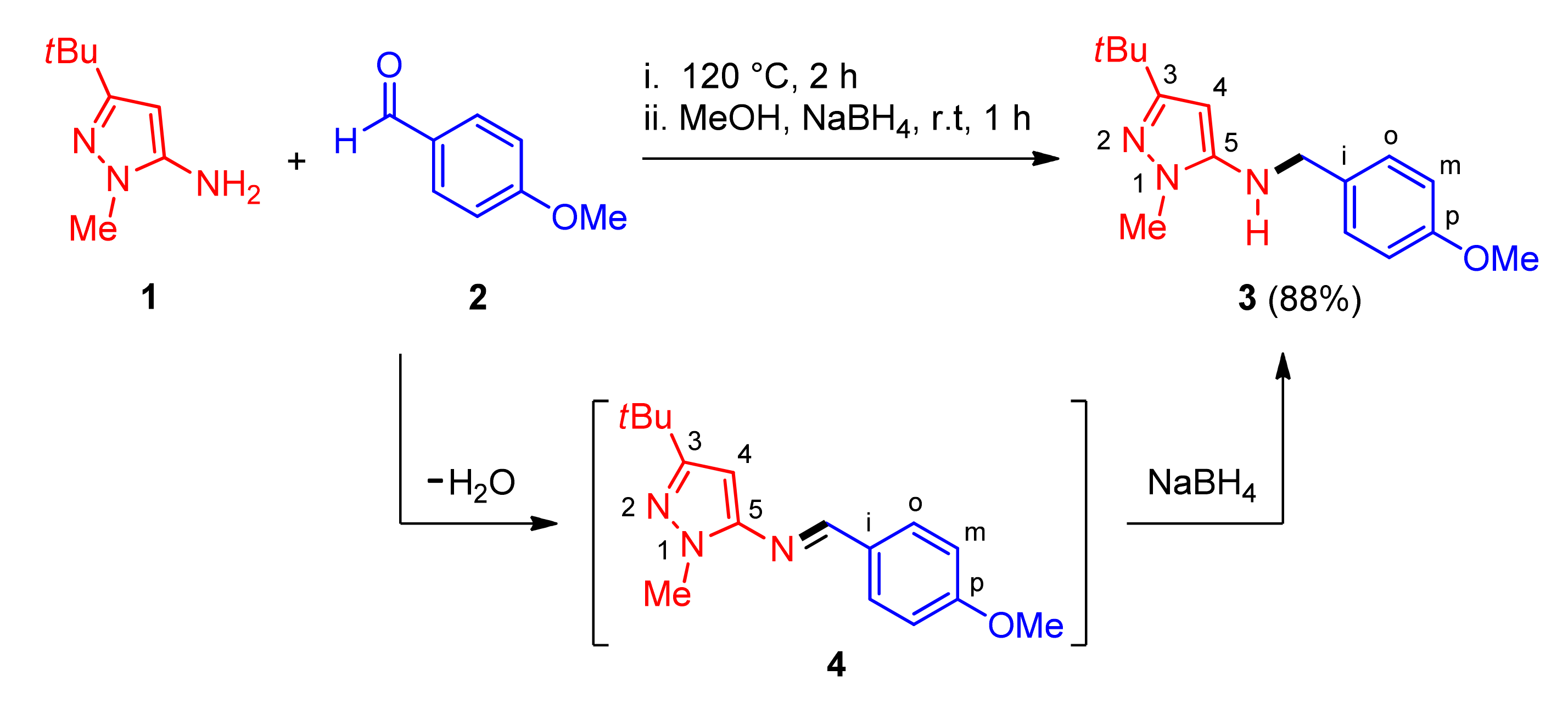 Molbank 2021 m1196 sch001