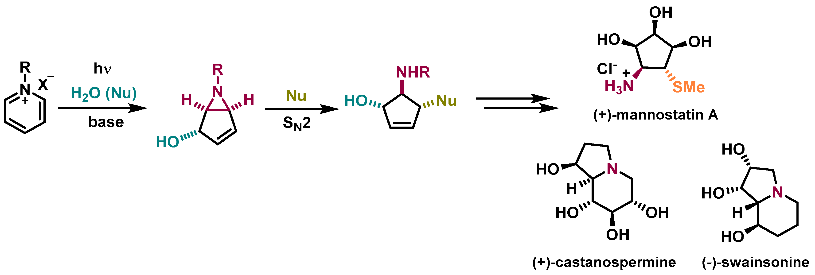 Molbank 2021 m1199 sch001 Molbank 2021 m1199 sch001