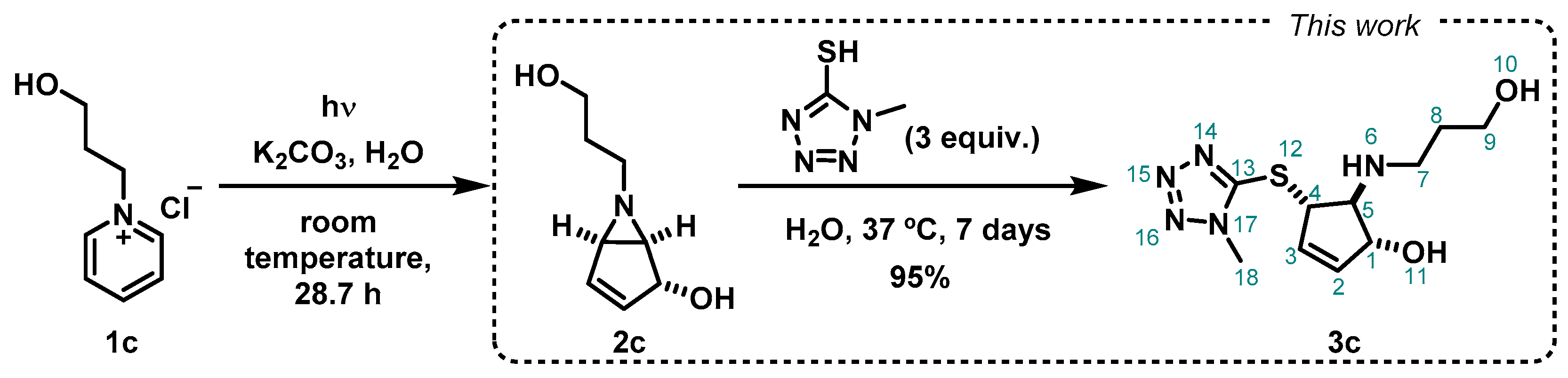 Molbank 2021 m1199 sch003 Molbank 2021 m1199 sch003