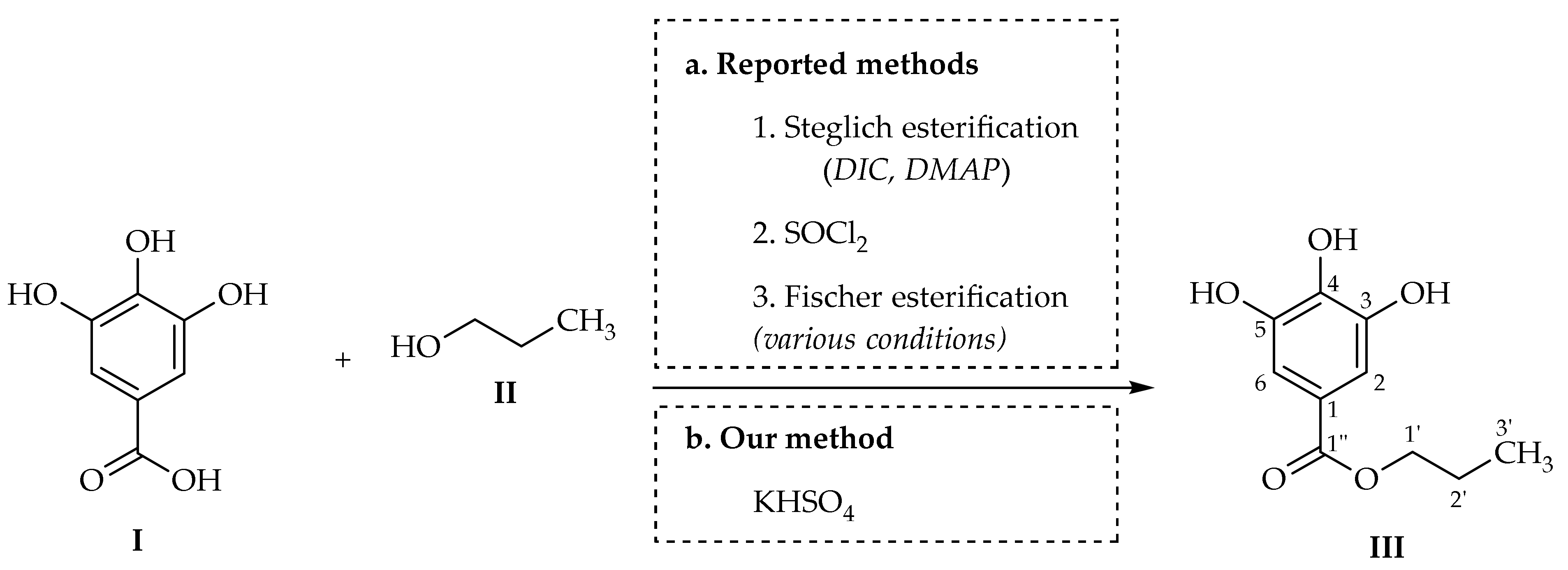 Molbank 2021 m1201 sch001