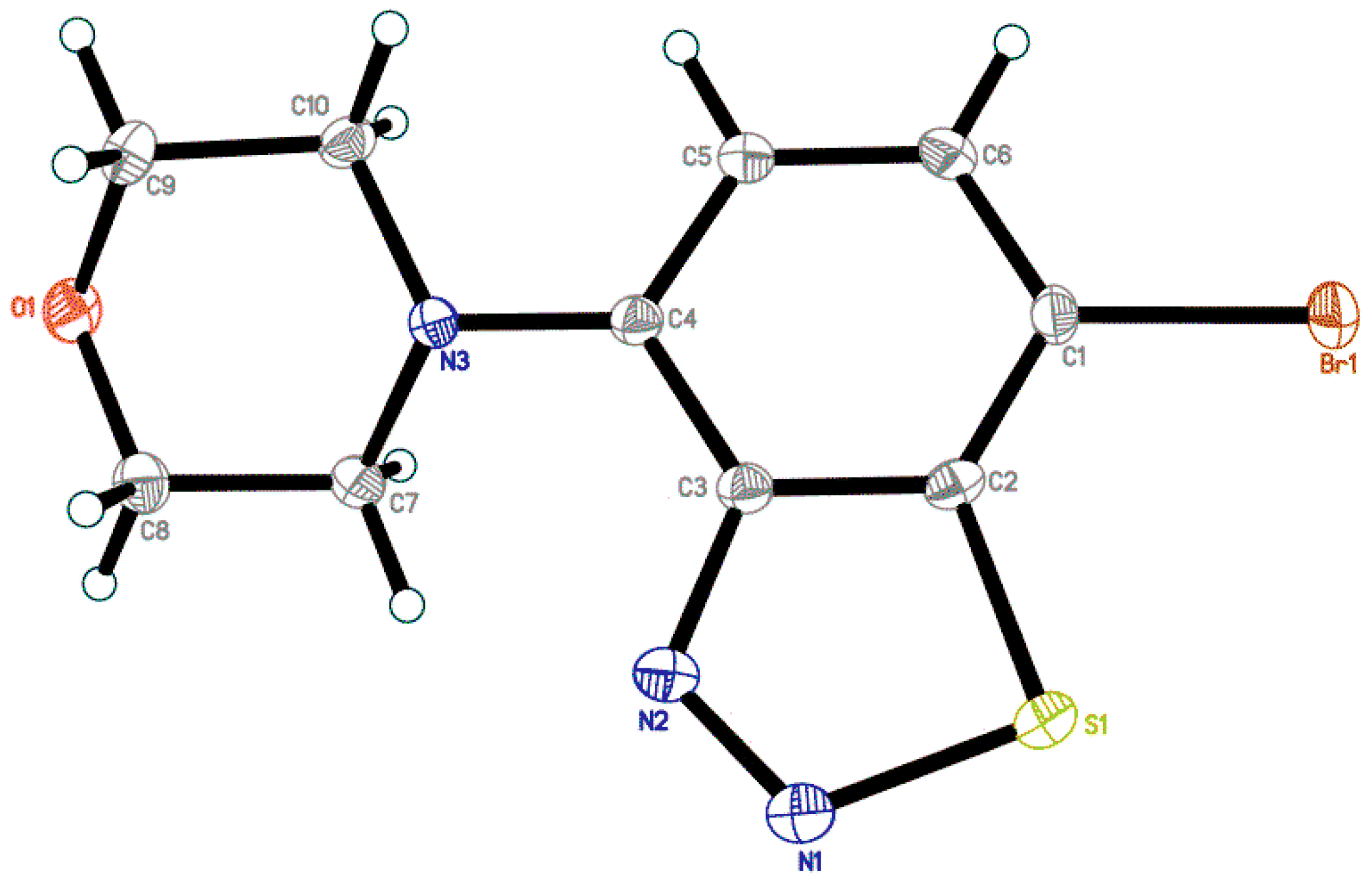 Molbank 2021 m1202 g001