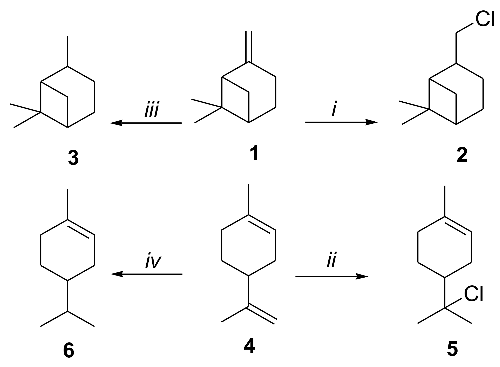 Molbank 2021 m1205 sch001