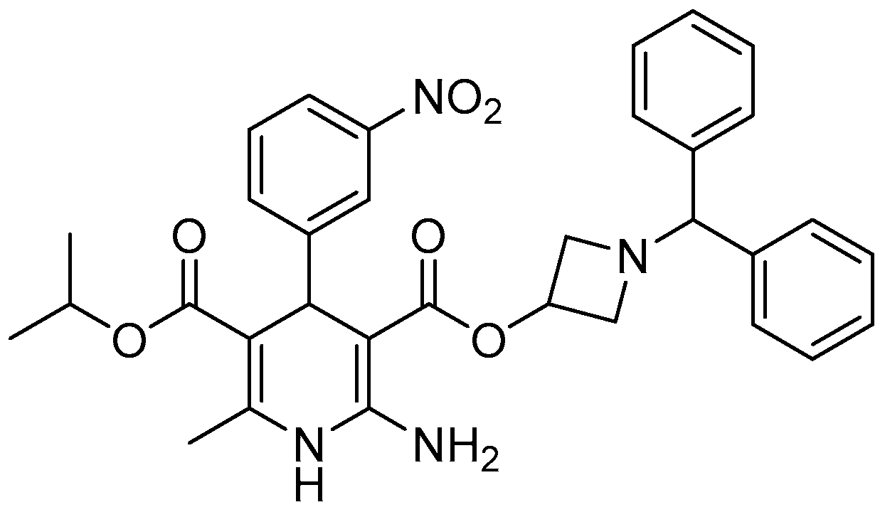 Molbank 2021 m1207 g002