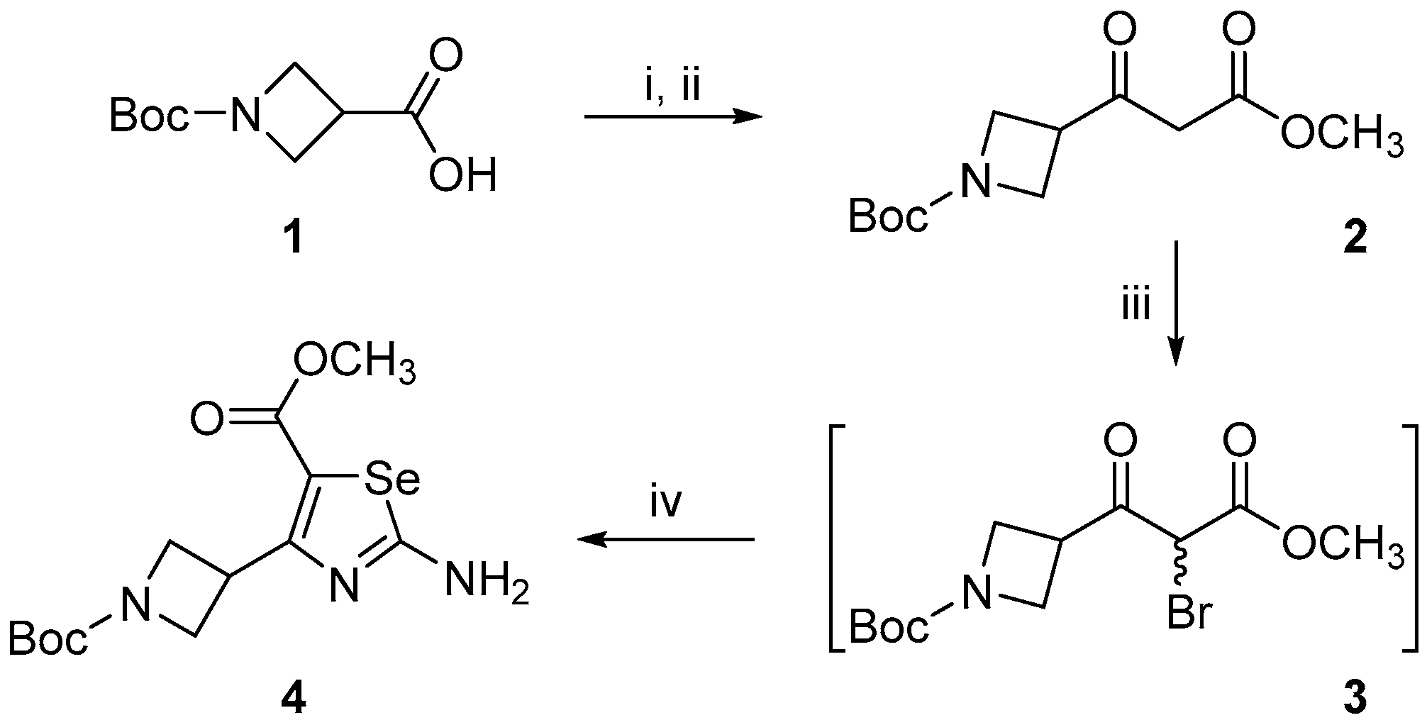 Molbank 2021 m1207 sch001