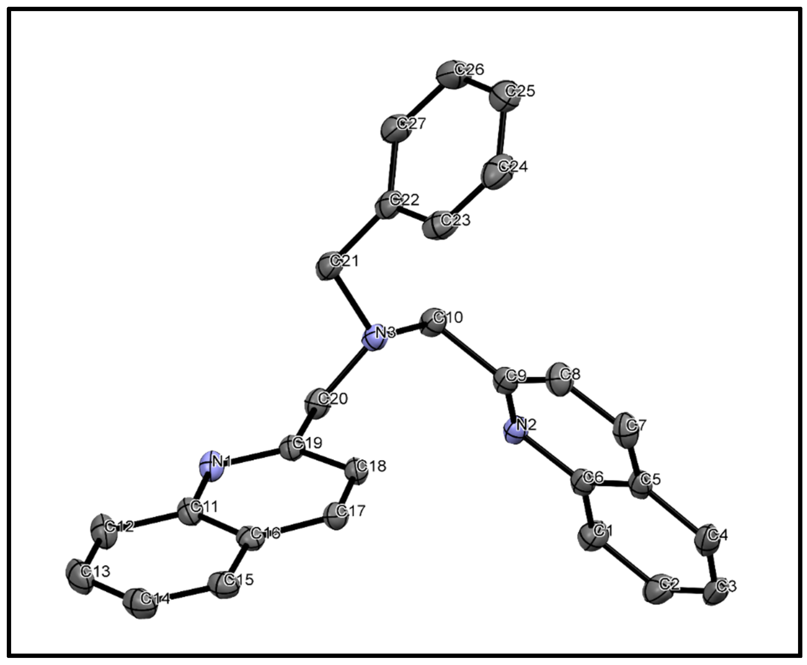 Molbank 2021 m1208 g002