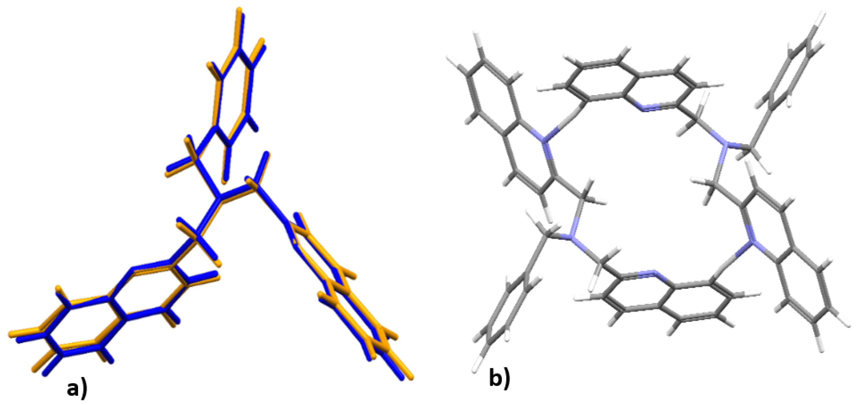 Molbank 2021 m1208 g006