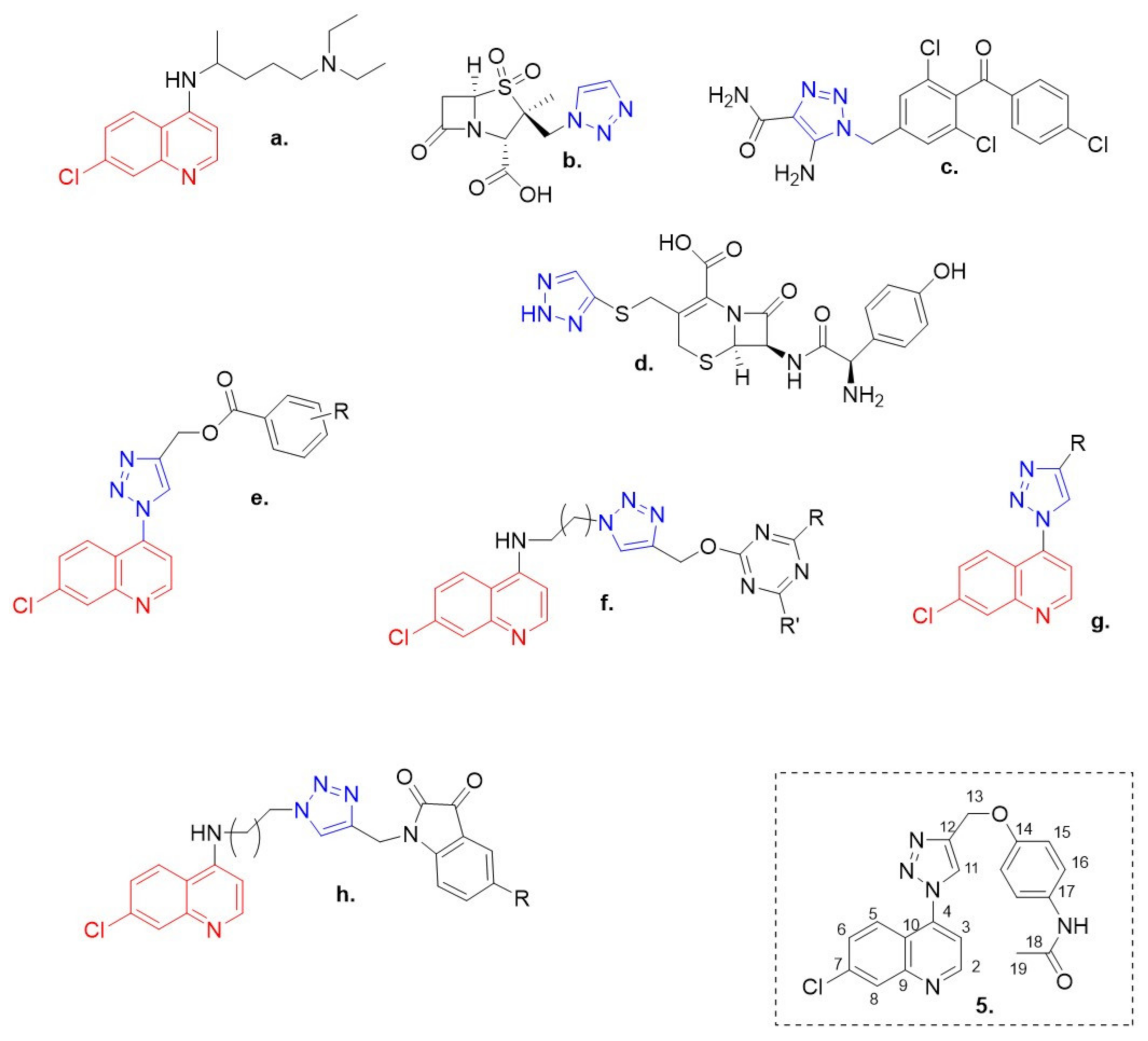 Molbank 2021 m1213 g001