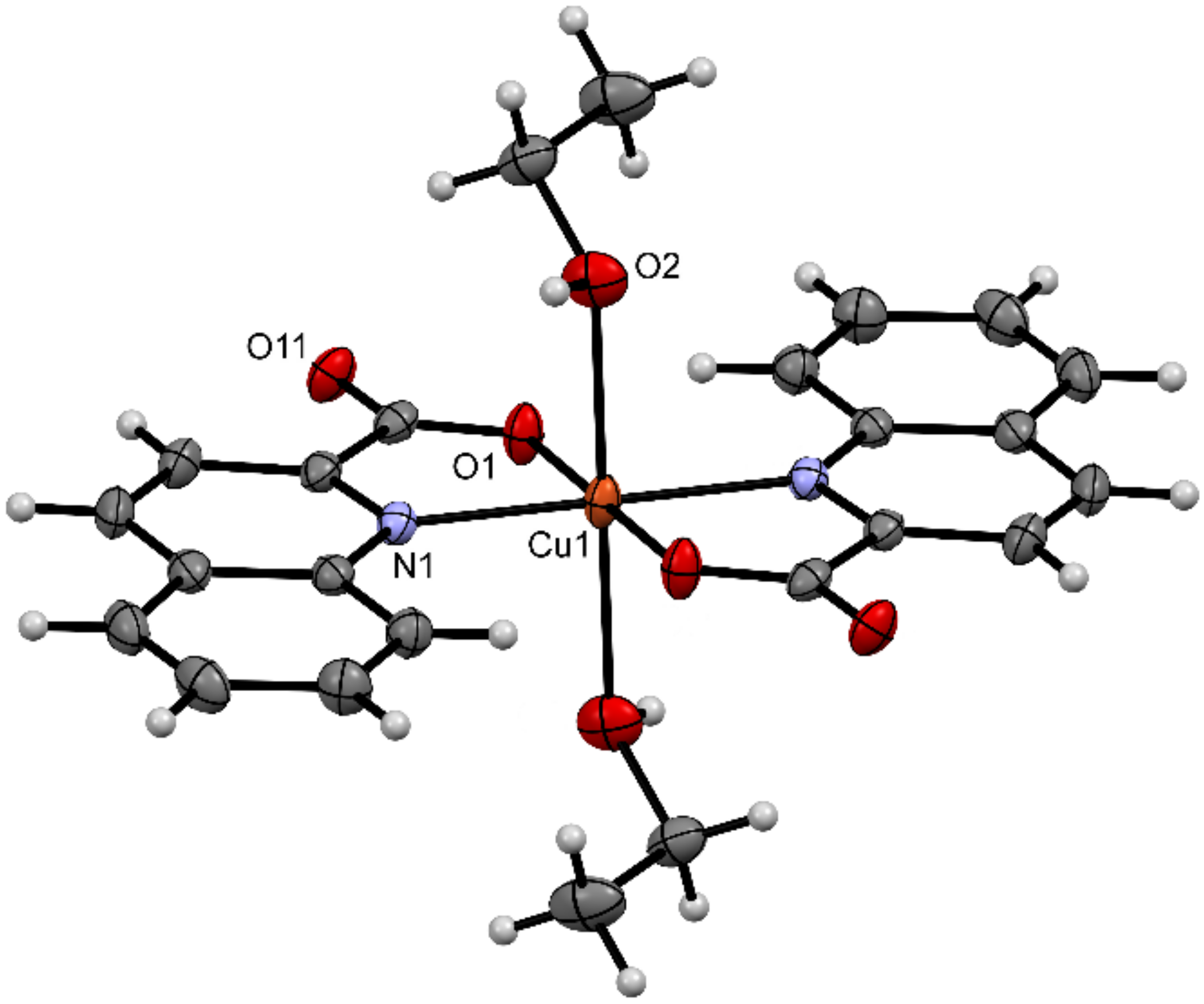 Molbank 2021 m1216 g001 Molbank 2021 m1216 g001