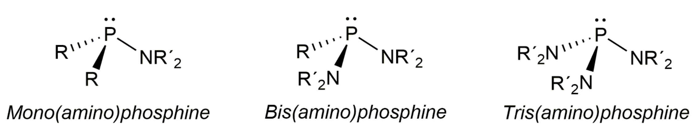 Molbank 2021 m1217 g001 Molbank 2021 m1217 g001