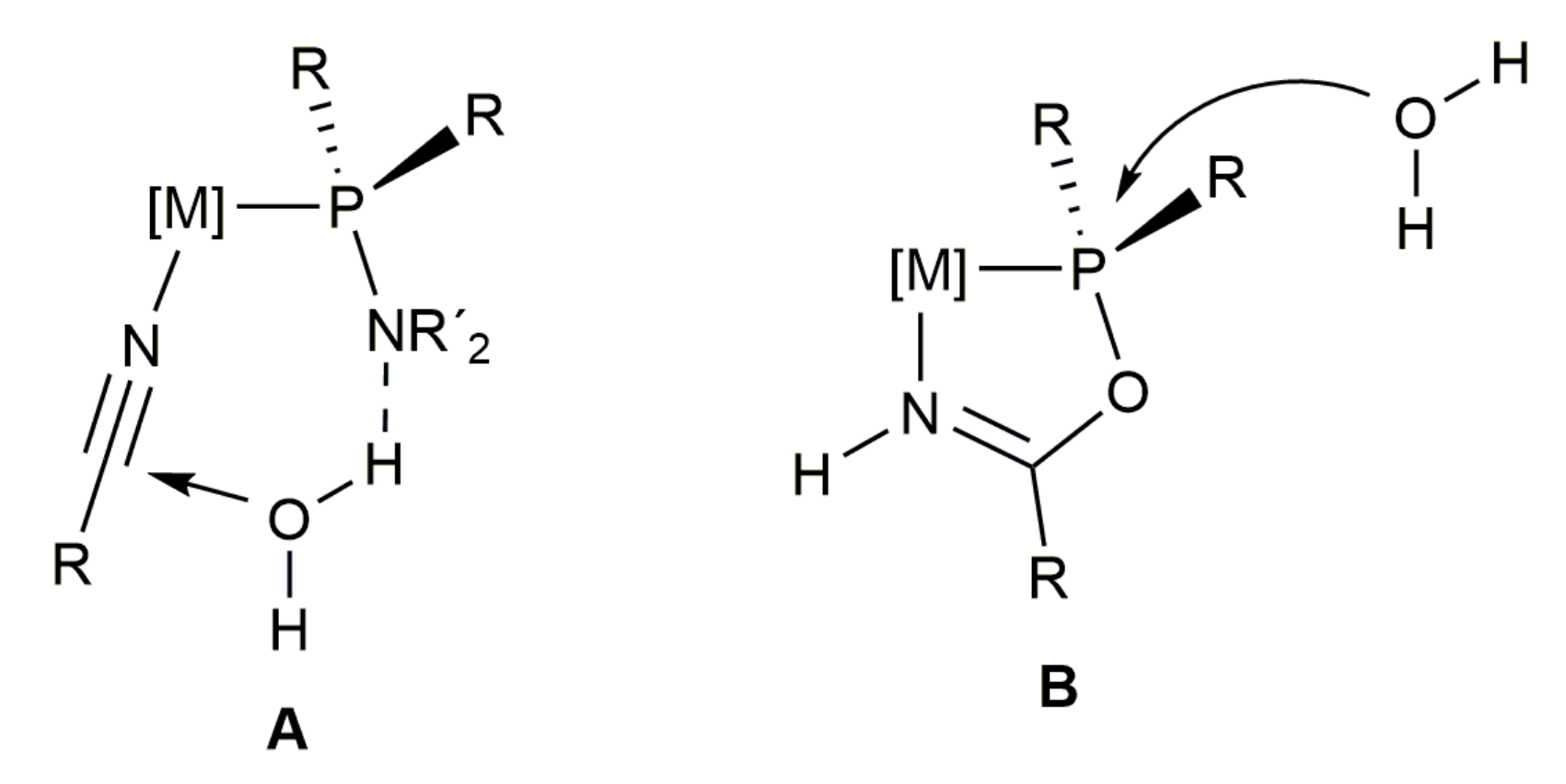 Molbank 2021 m1217 g002 Molbank 2021 m1217 g002
