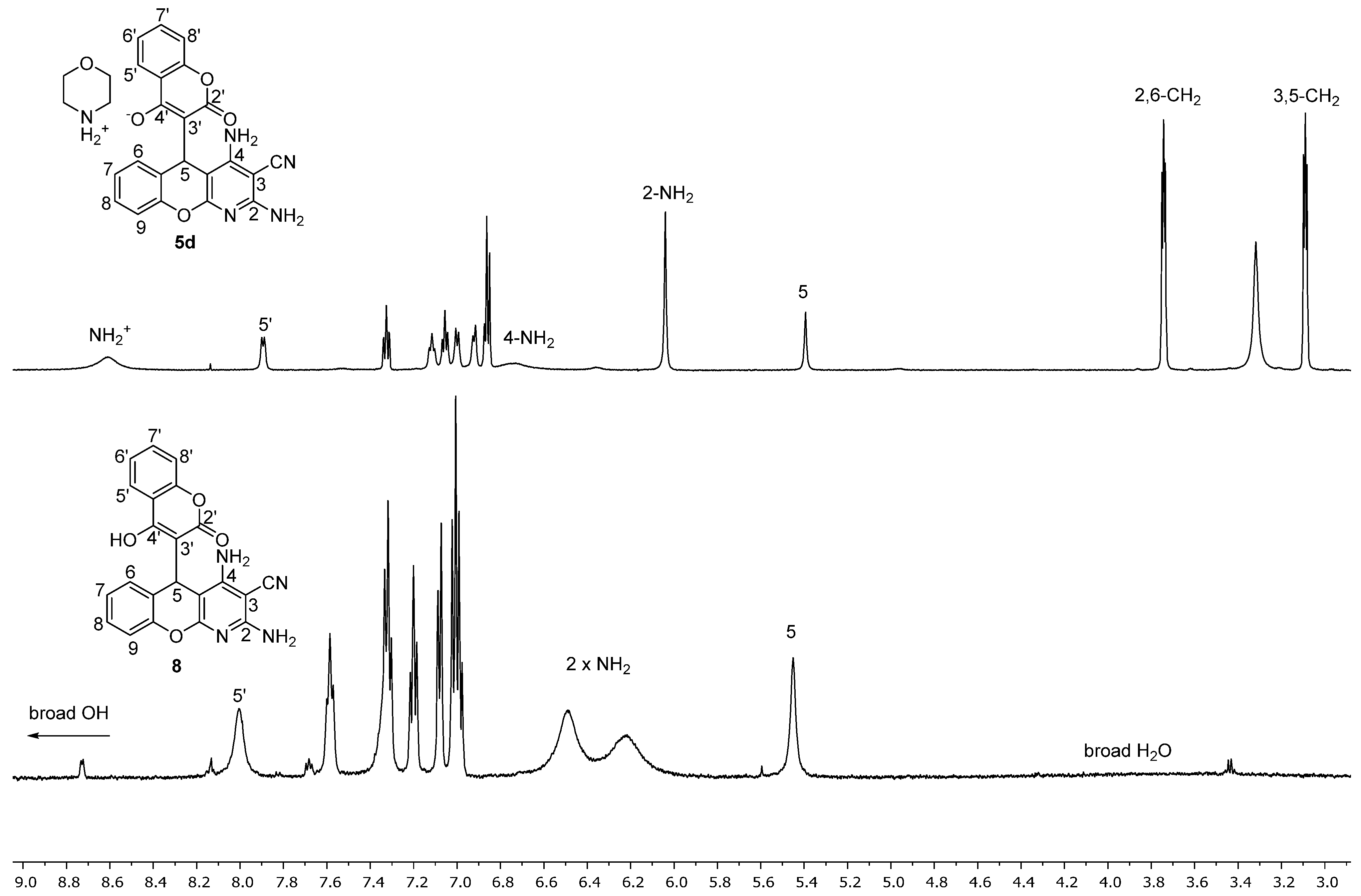 Molbank 2021 m1219 g001