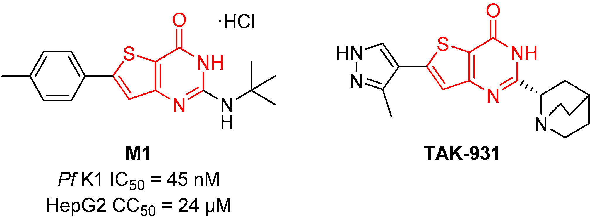 Molbank 2021 m1221 g001