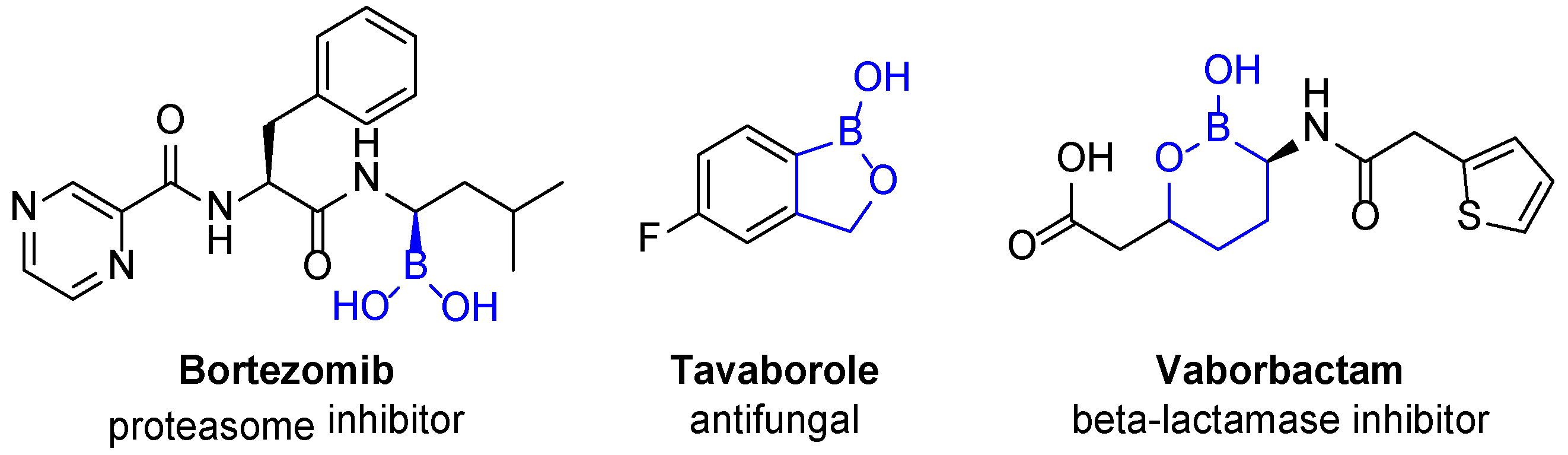 Molbank 2021 m1221 g002