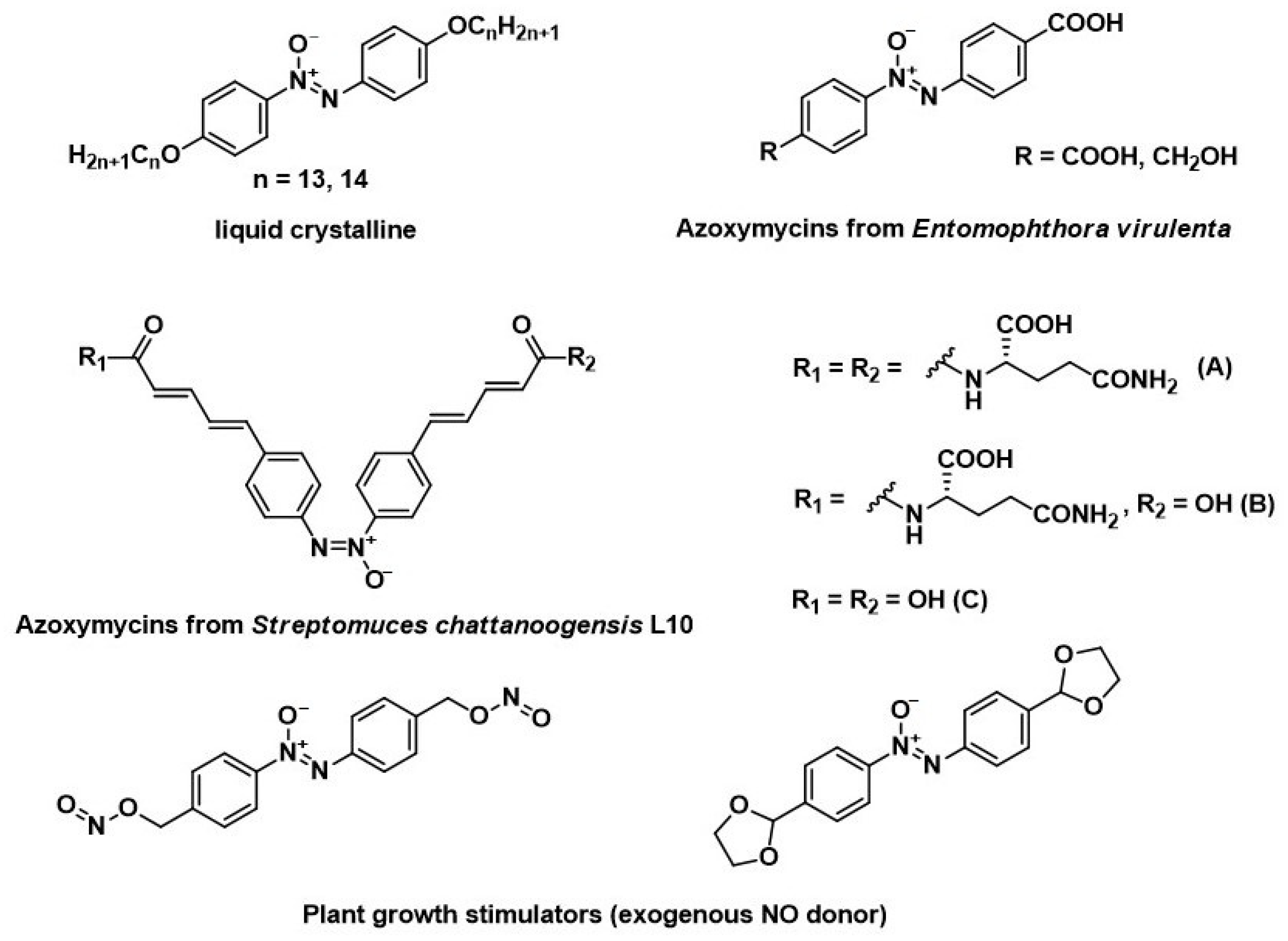 Molbank 2021 m1224 g001
