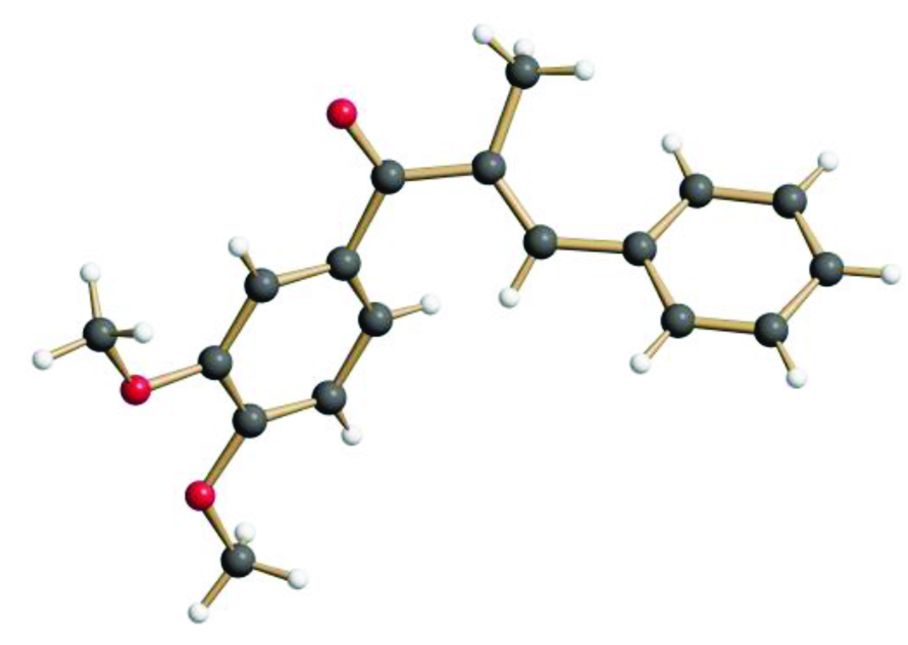 Molbank 2021 m1226 g001