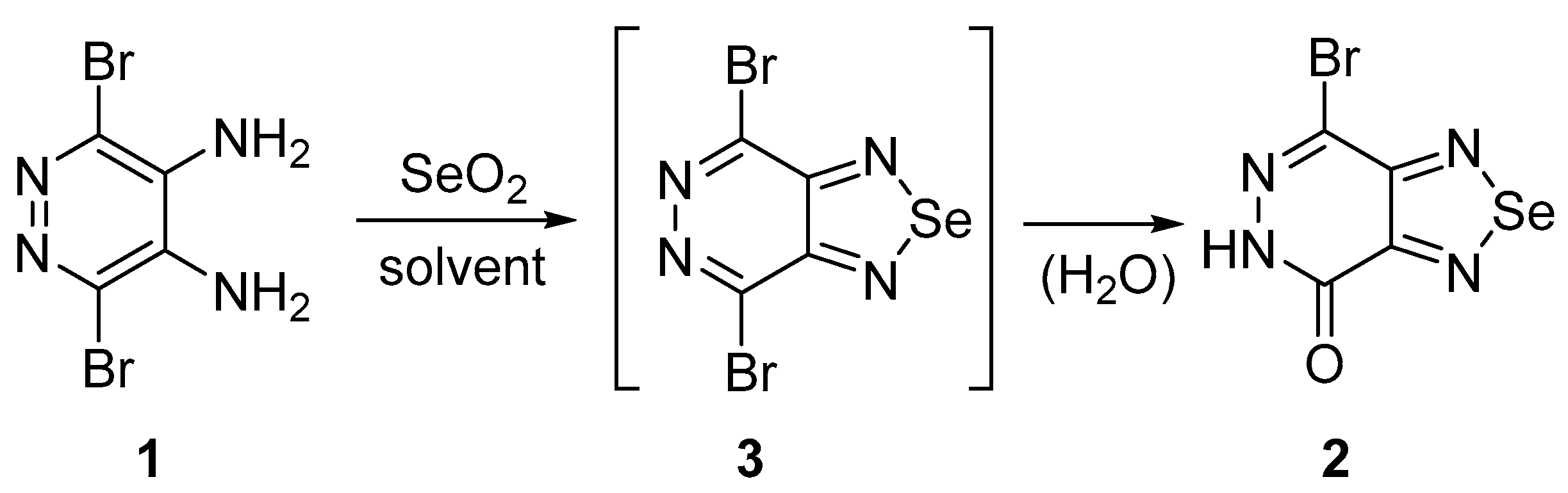 Molbank 2021 m1229 sch001