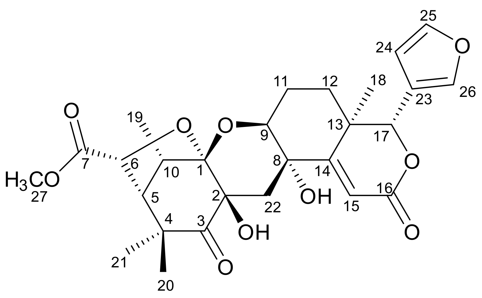 Molbank 2021 m1232 g001