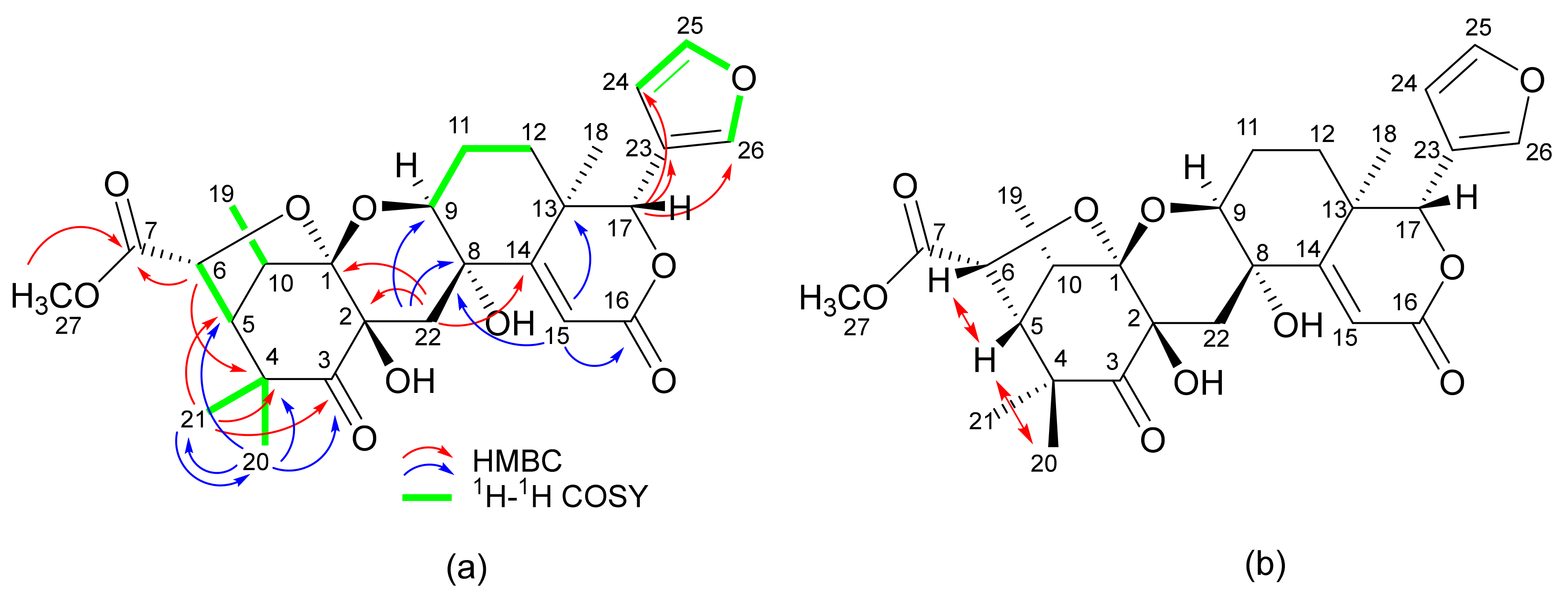 Molbank 2021 m1232 g002